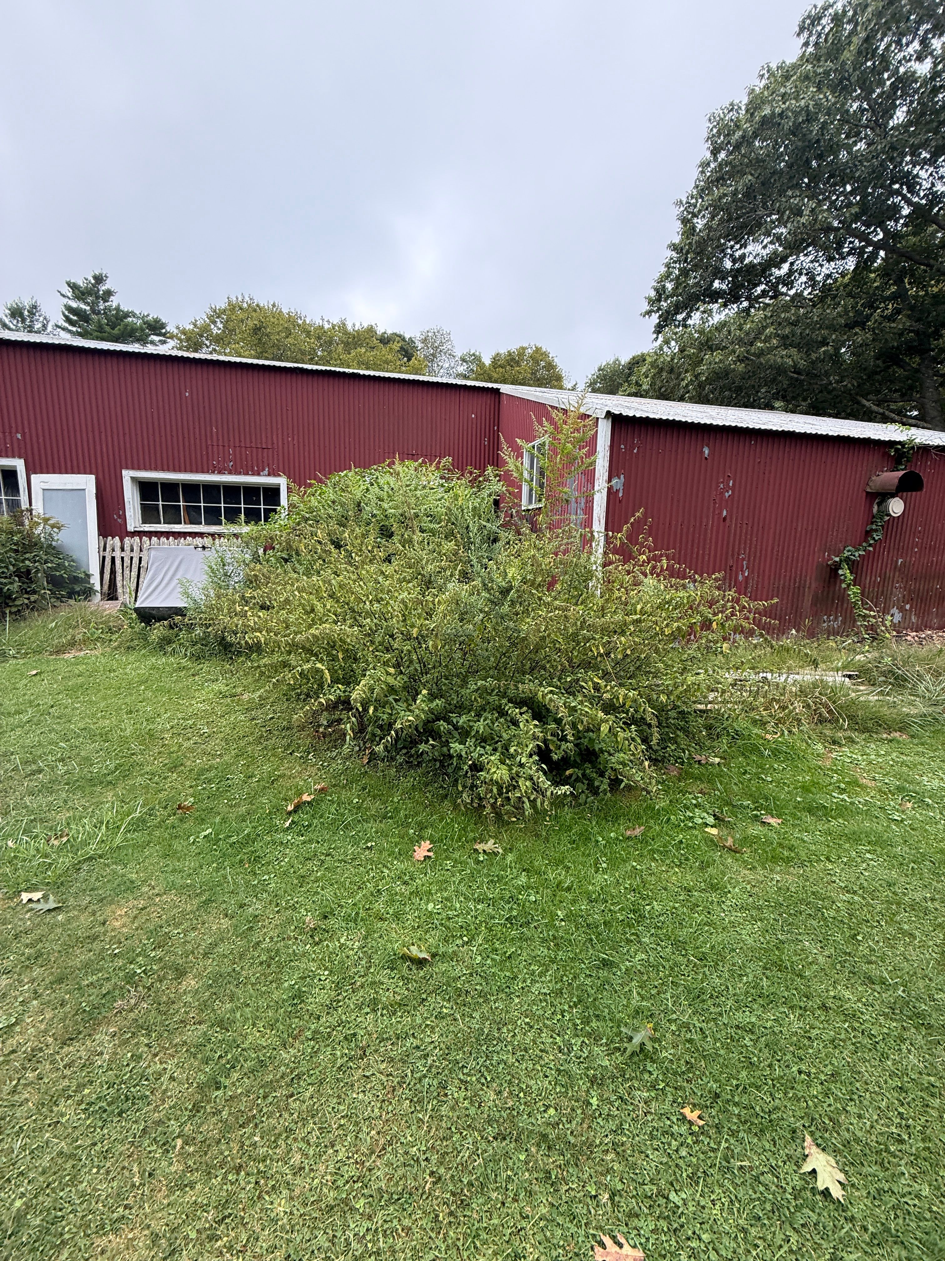  for Lucas Property Maintenance LLC in New Bedford, MA