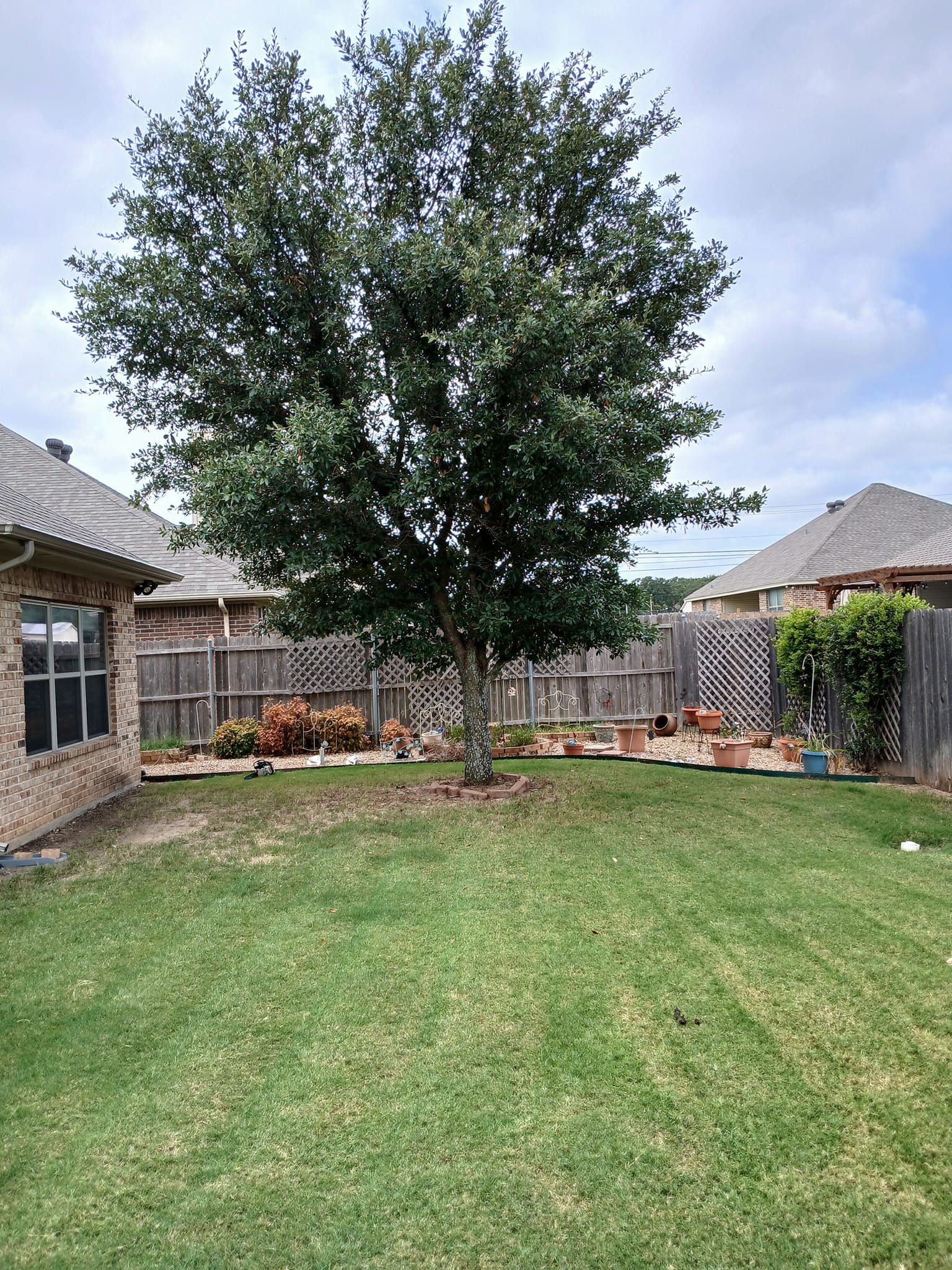 Tree Removal for Marks Tree Service in Fort Worth, TX