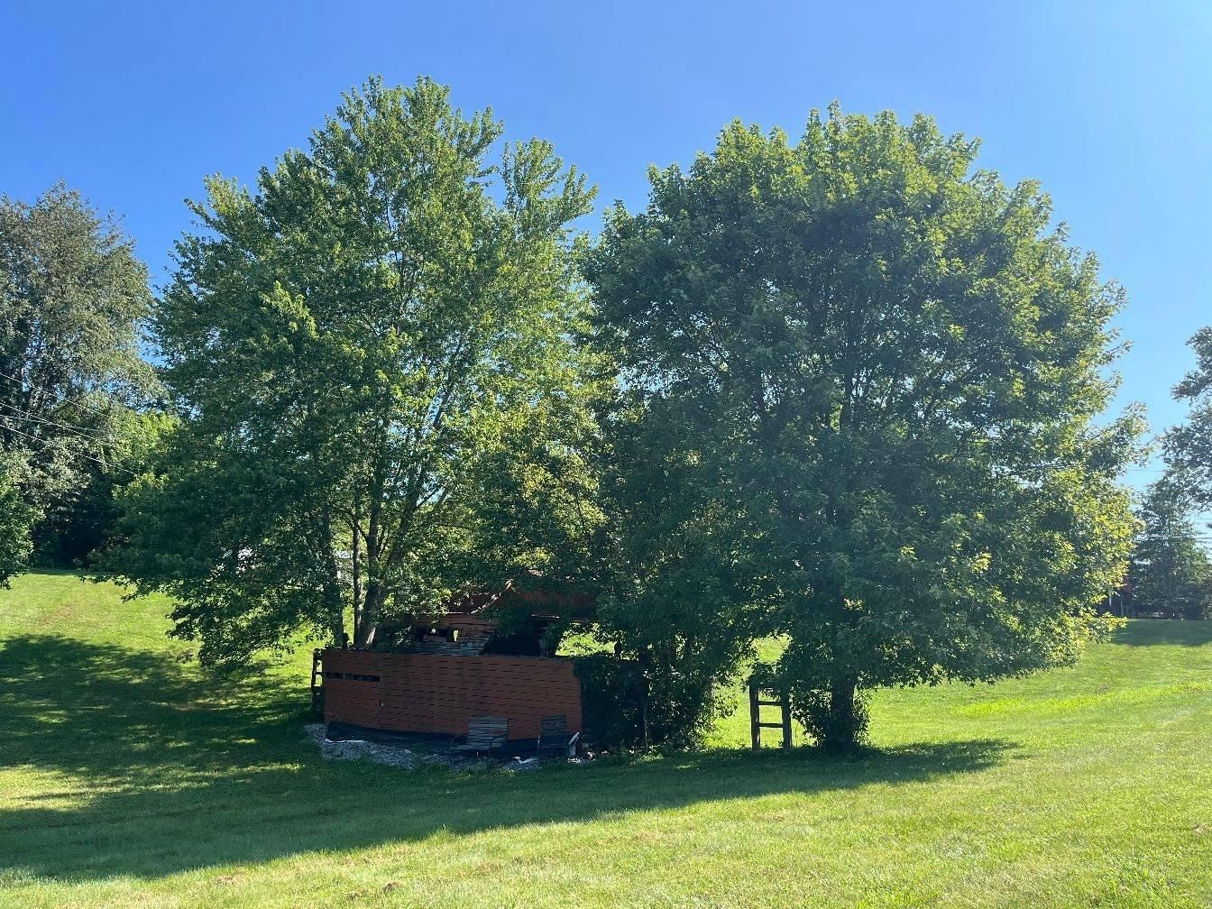  for Kingdom Tree Trimming and Removal LLC in Covington, KY