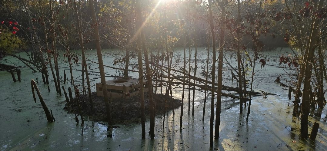  for Wildlife Predator LLC in Lugoff, SC