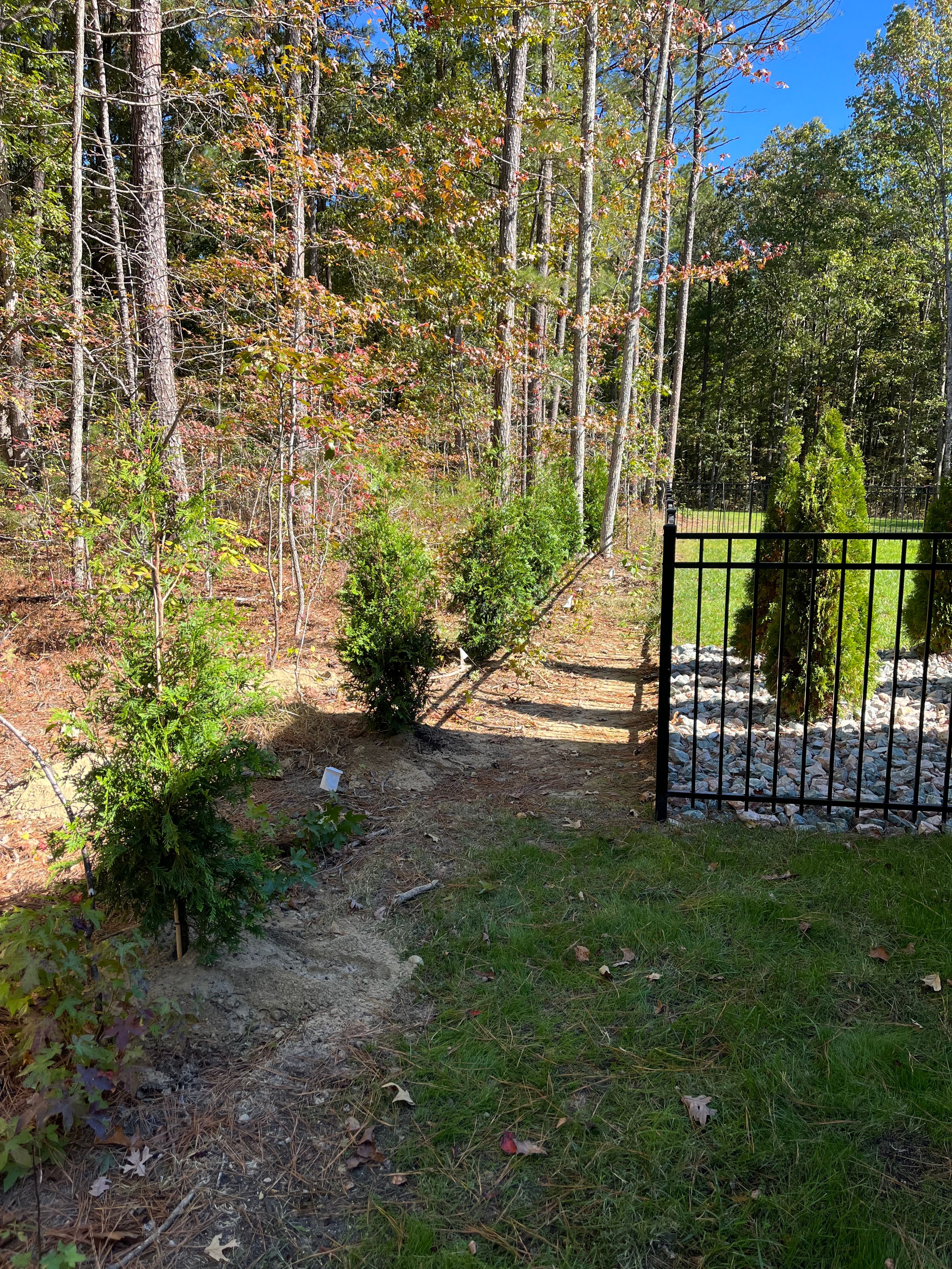  for Atlas Home Services in Mechanicsville, VA