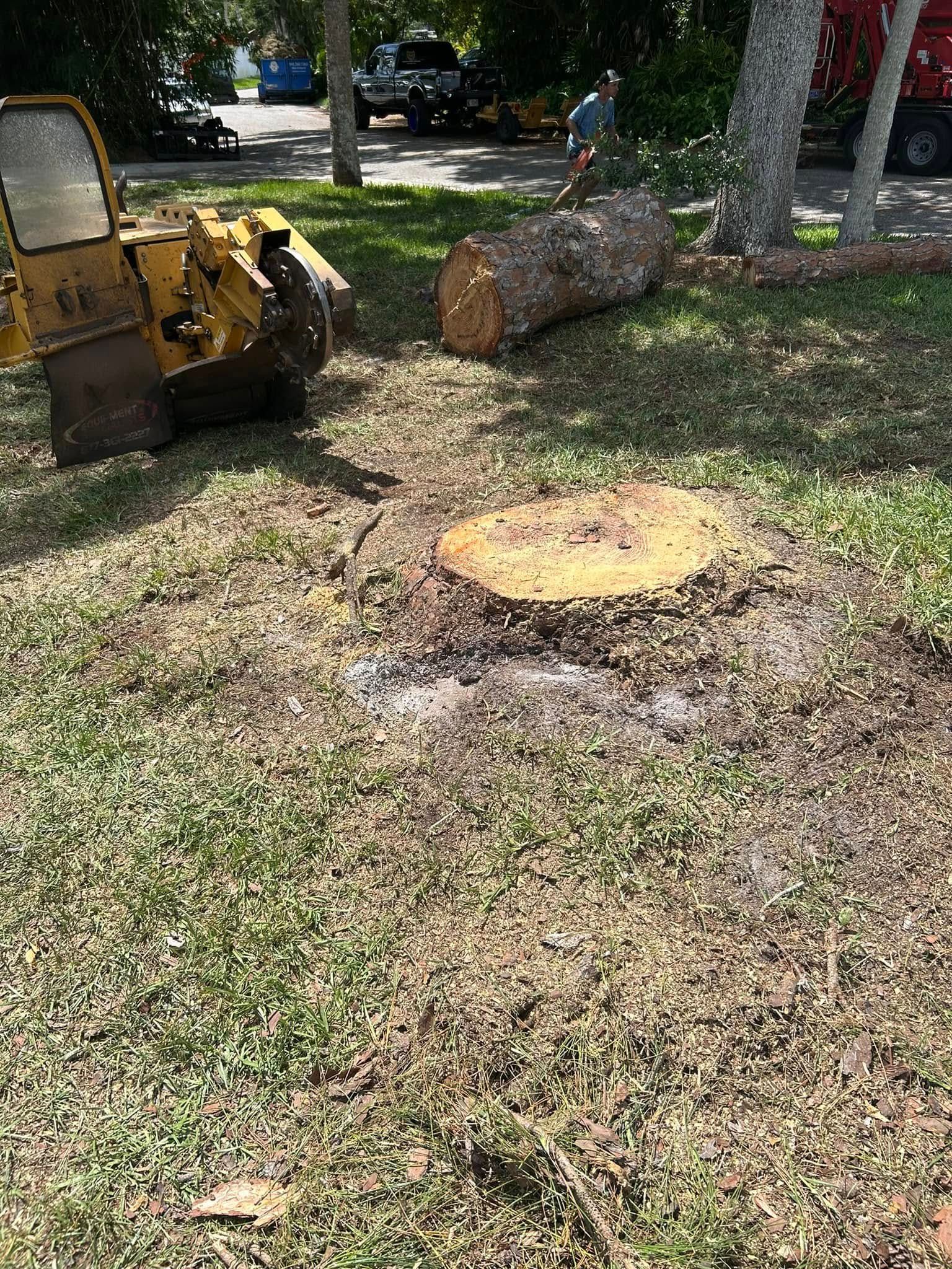  for Grizzly Stump Grinding in Sarasota, FL