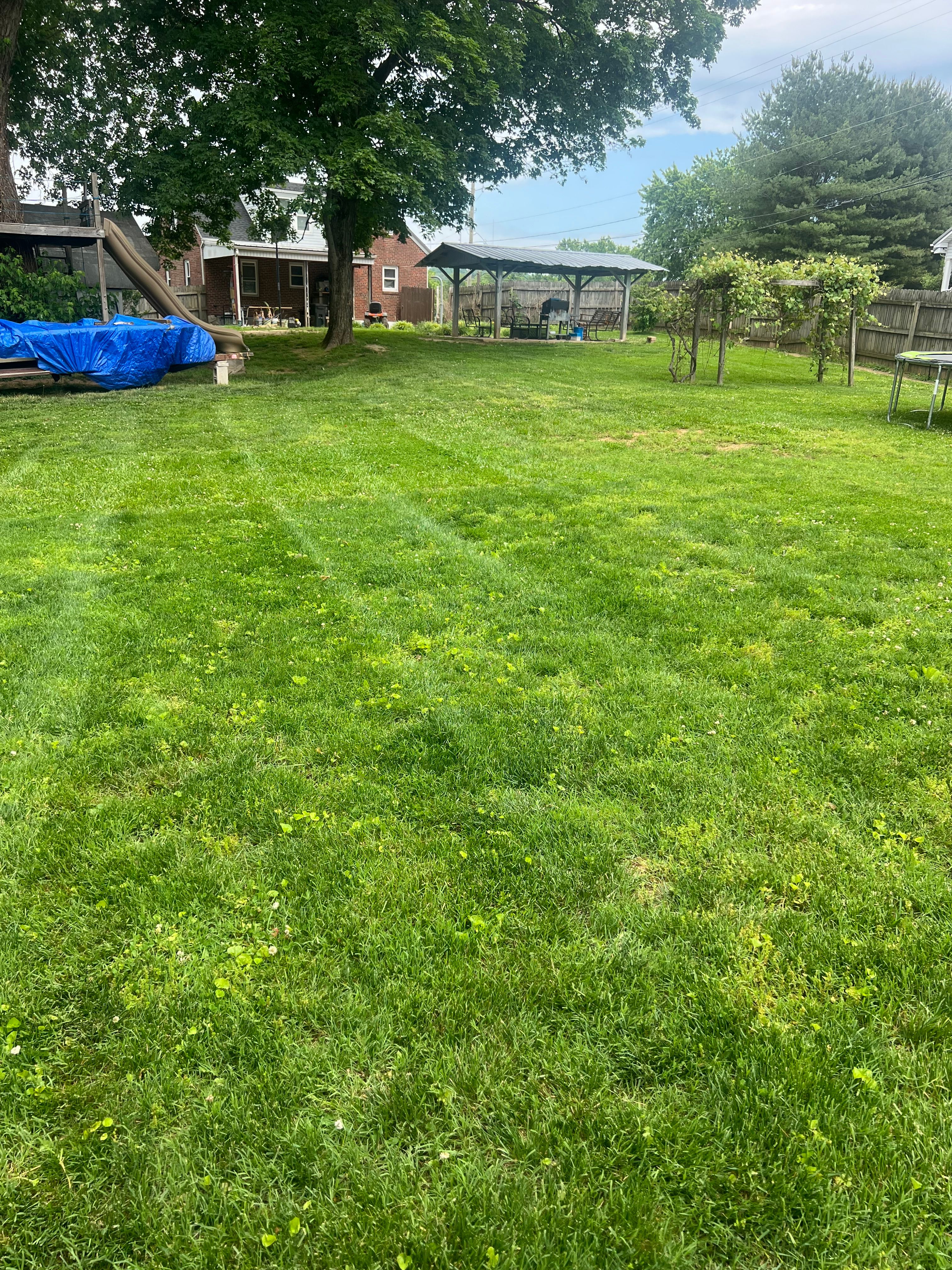 All Photos for The Yard Barbers in Somerset, KY