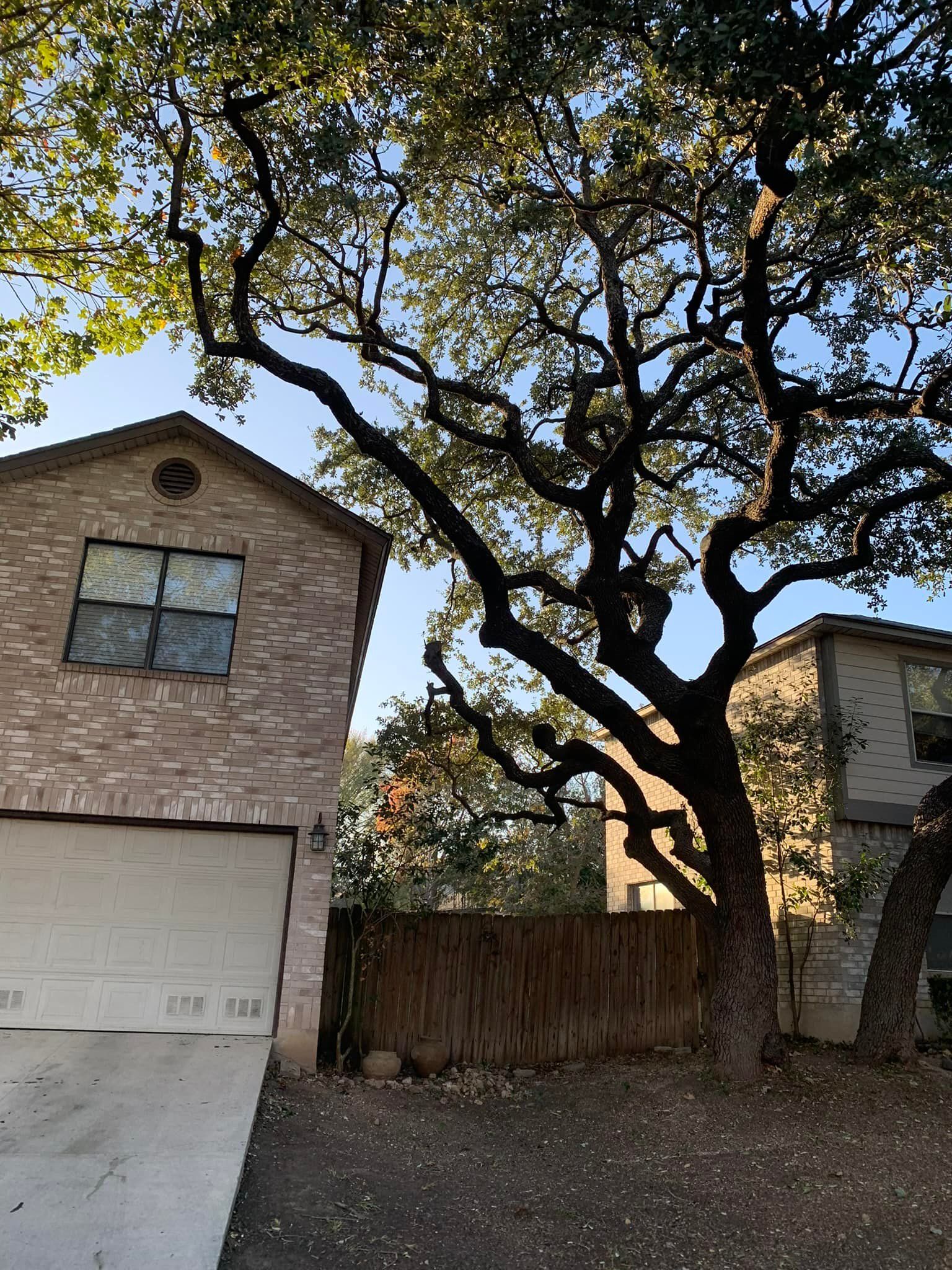  for DR Landscape in San Antonio, TX