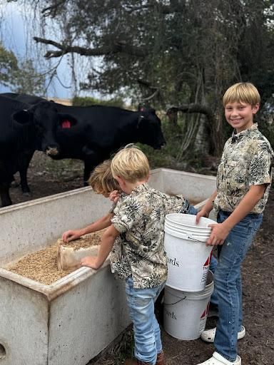 All Photos for MannaS Precast Concrete LLC in Bay City, TX