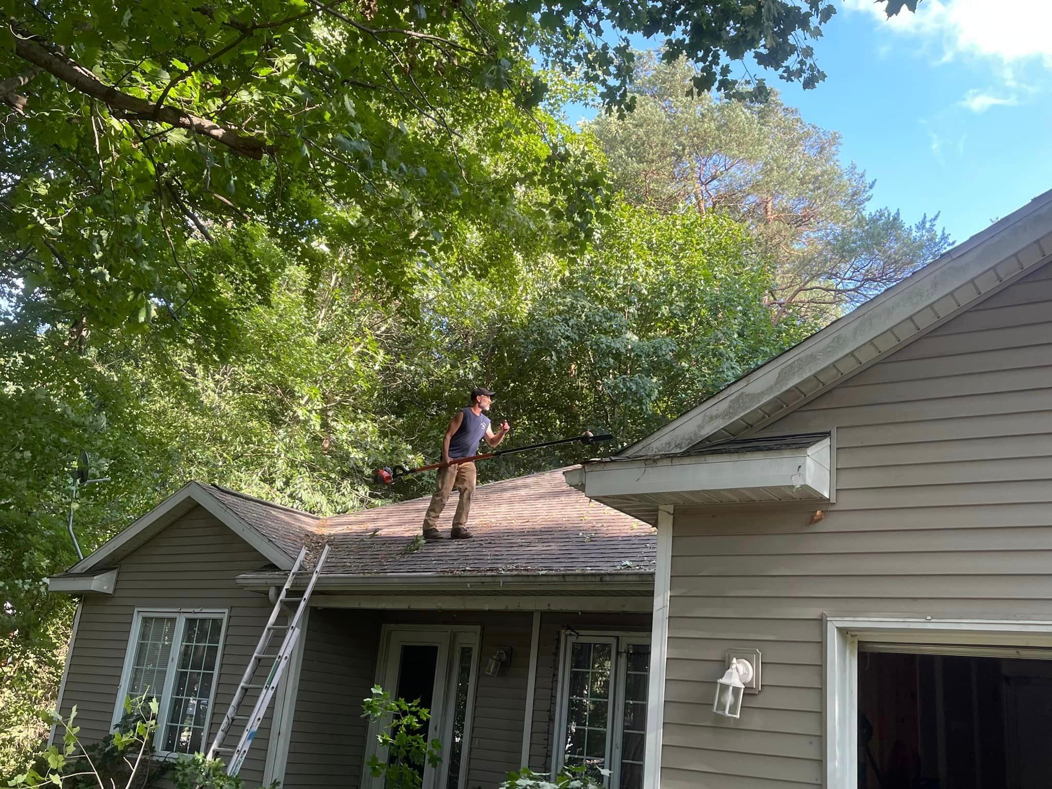  for Branching Out Tree Service in Hastings, MI