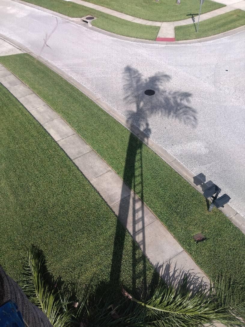  for Bills Tree Service in Valrico, FL