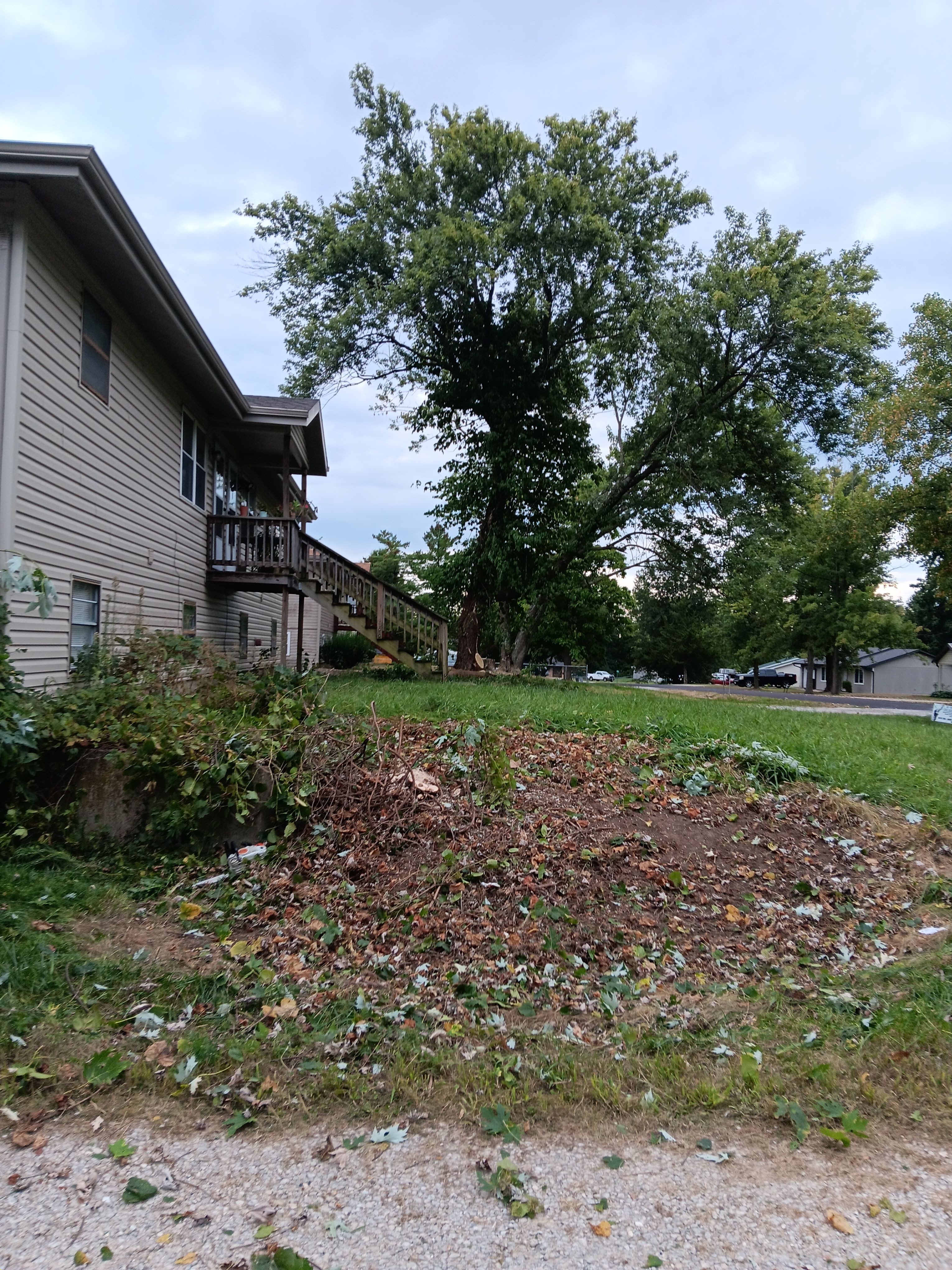  for Sky High Tree Service in Columbia, MO