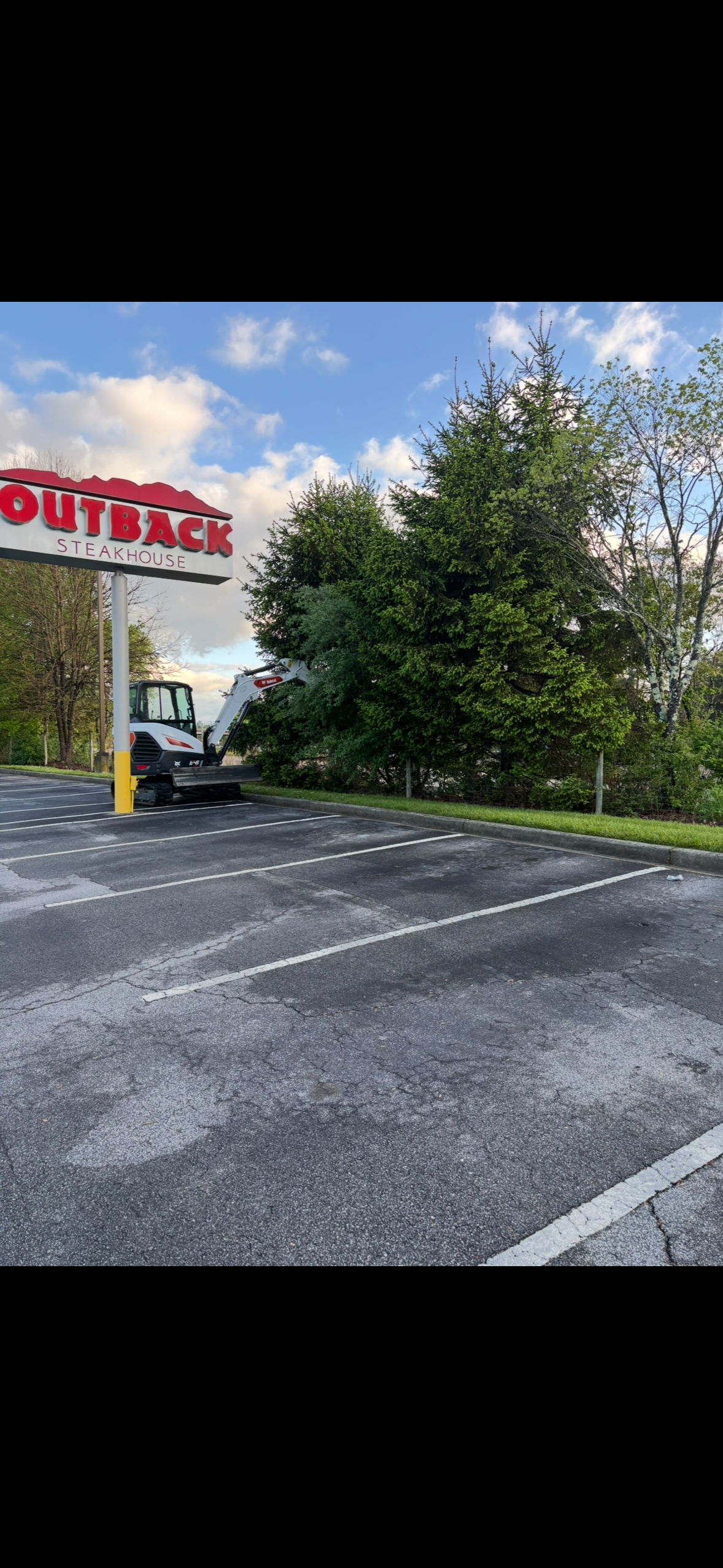  for Andy's Tree Service in Zirconia, NC