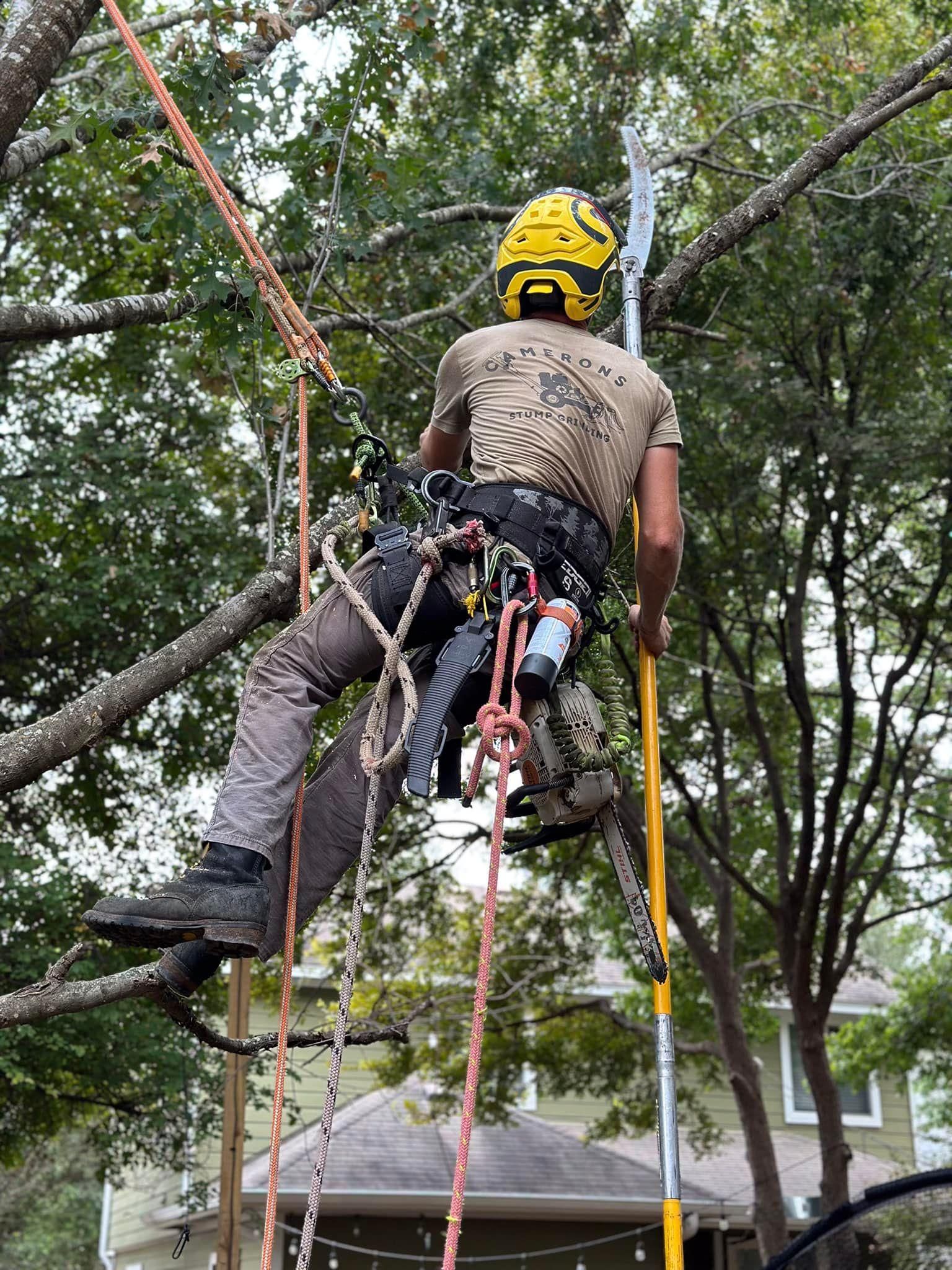  for Camerons Stump Grinding & Tree Services in Austin, TX