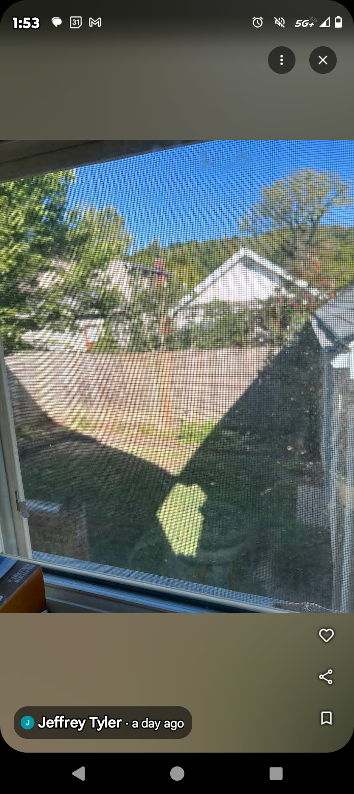  for Kingdom Tree Trimming and Removal LLC in Covington, KY