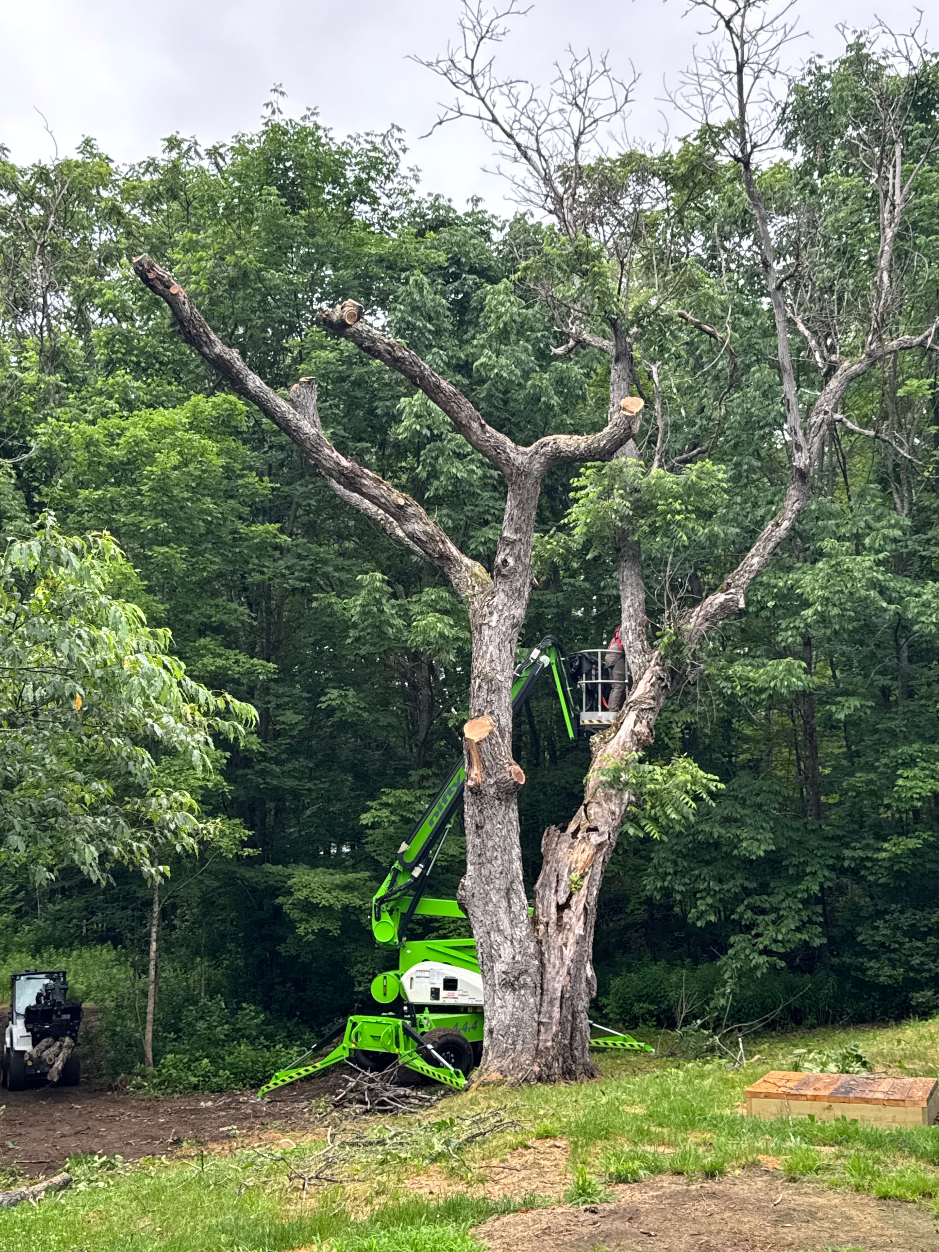 All Photos for Clifford’s Quality Tree Care & Landscaping in Enfield, NH