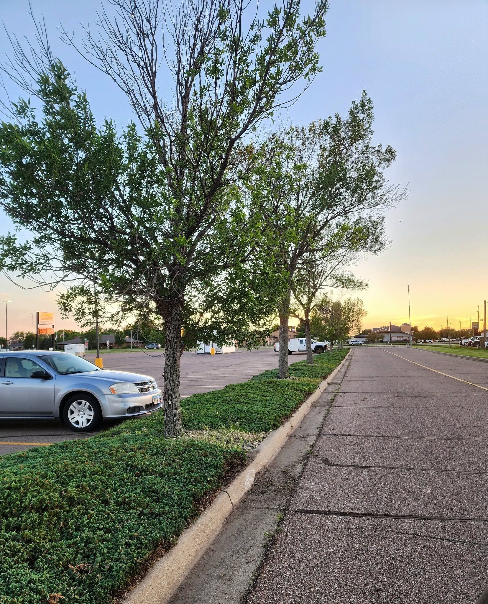  for All Things Yard and Lawn Care LLC in Huron, SD
