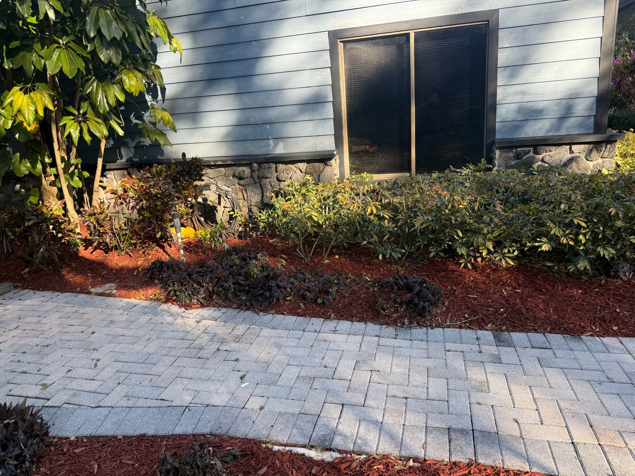  for Amerigrown Tree And Lawn in Apopka, FL