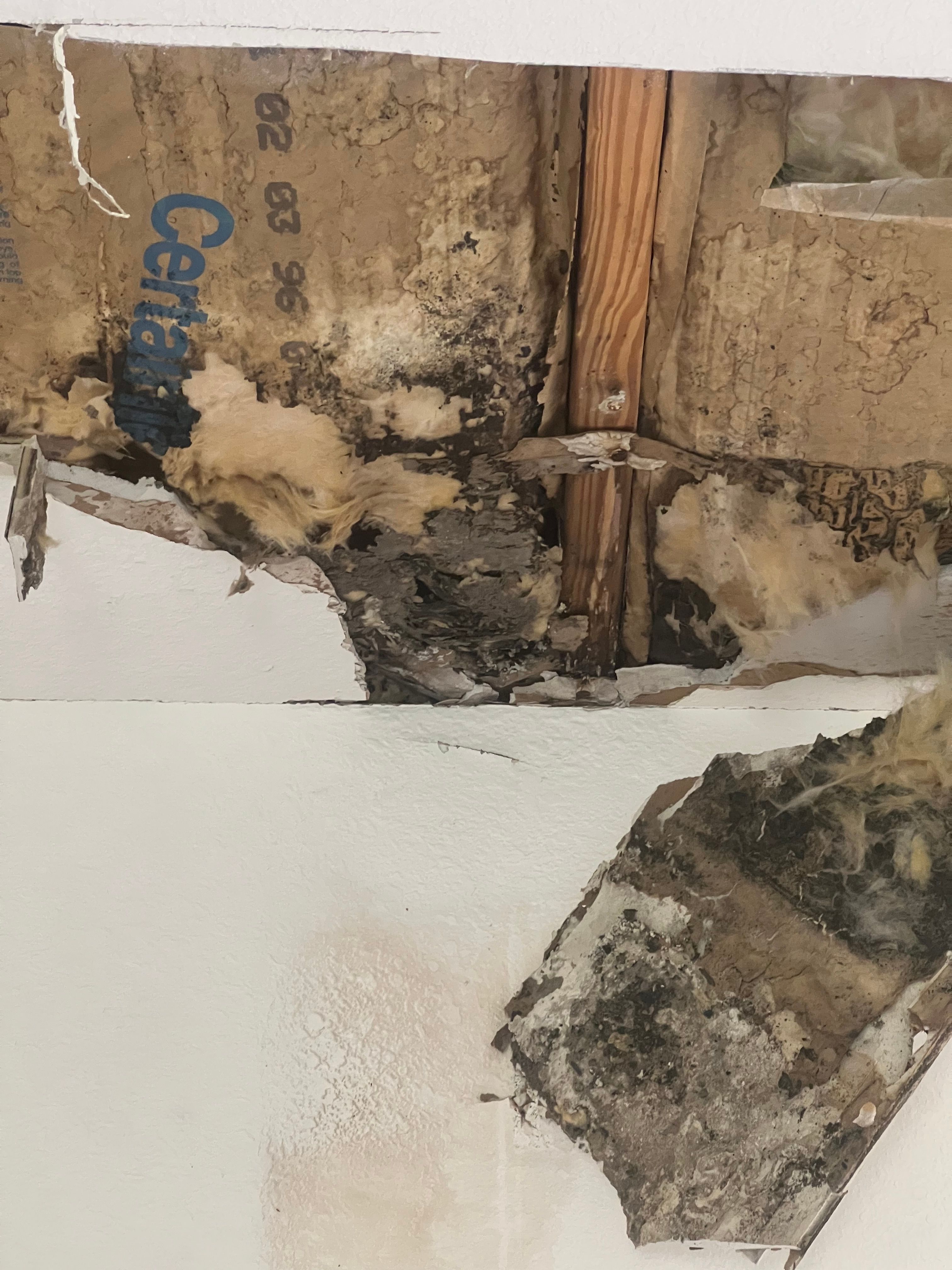  for N&D Restoration Services When Disaster Strikes, We Come In in Cape Coral,  FL