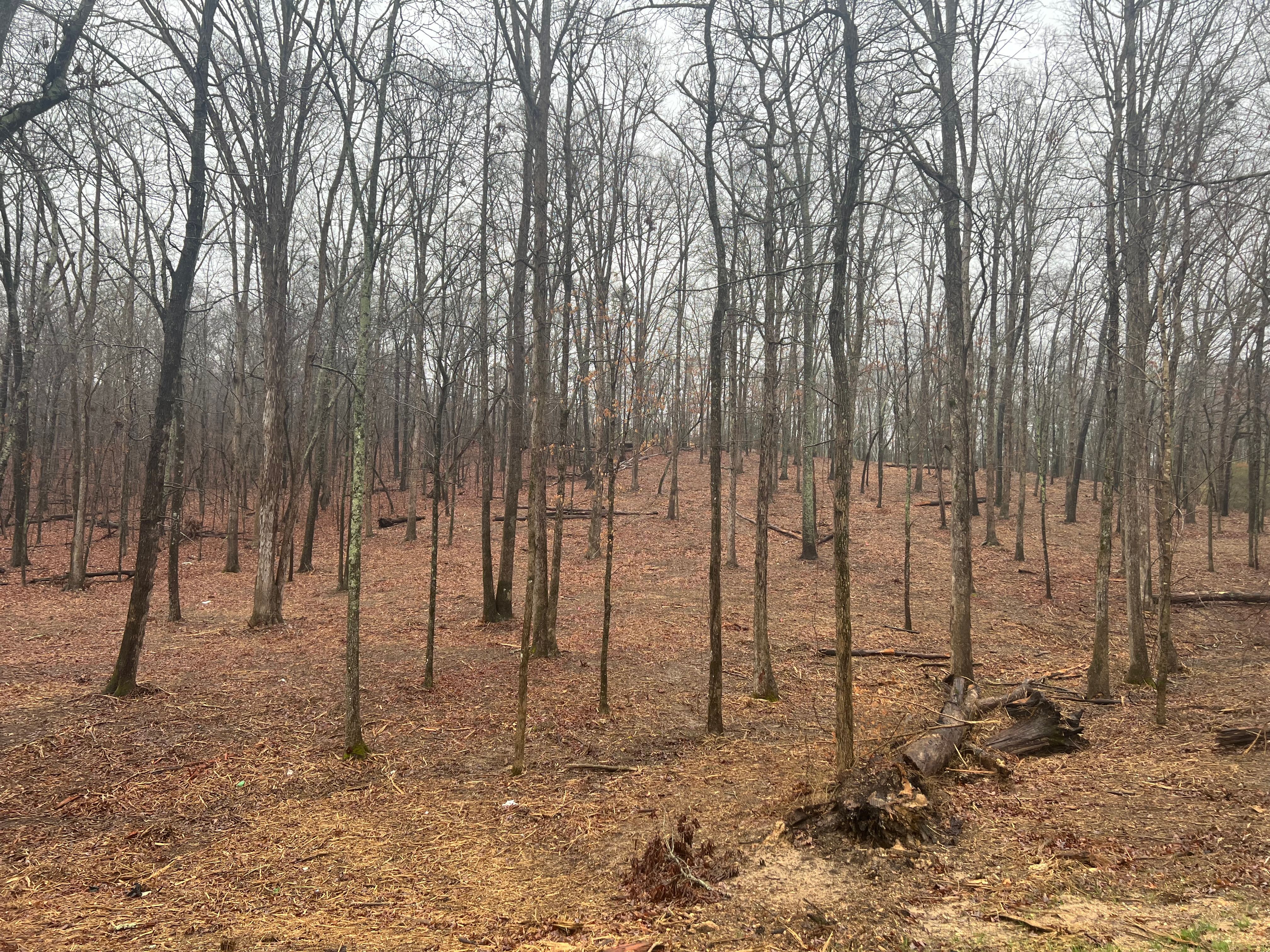 All Photos for F&CO Excavation in Clinton, TN