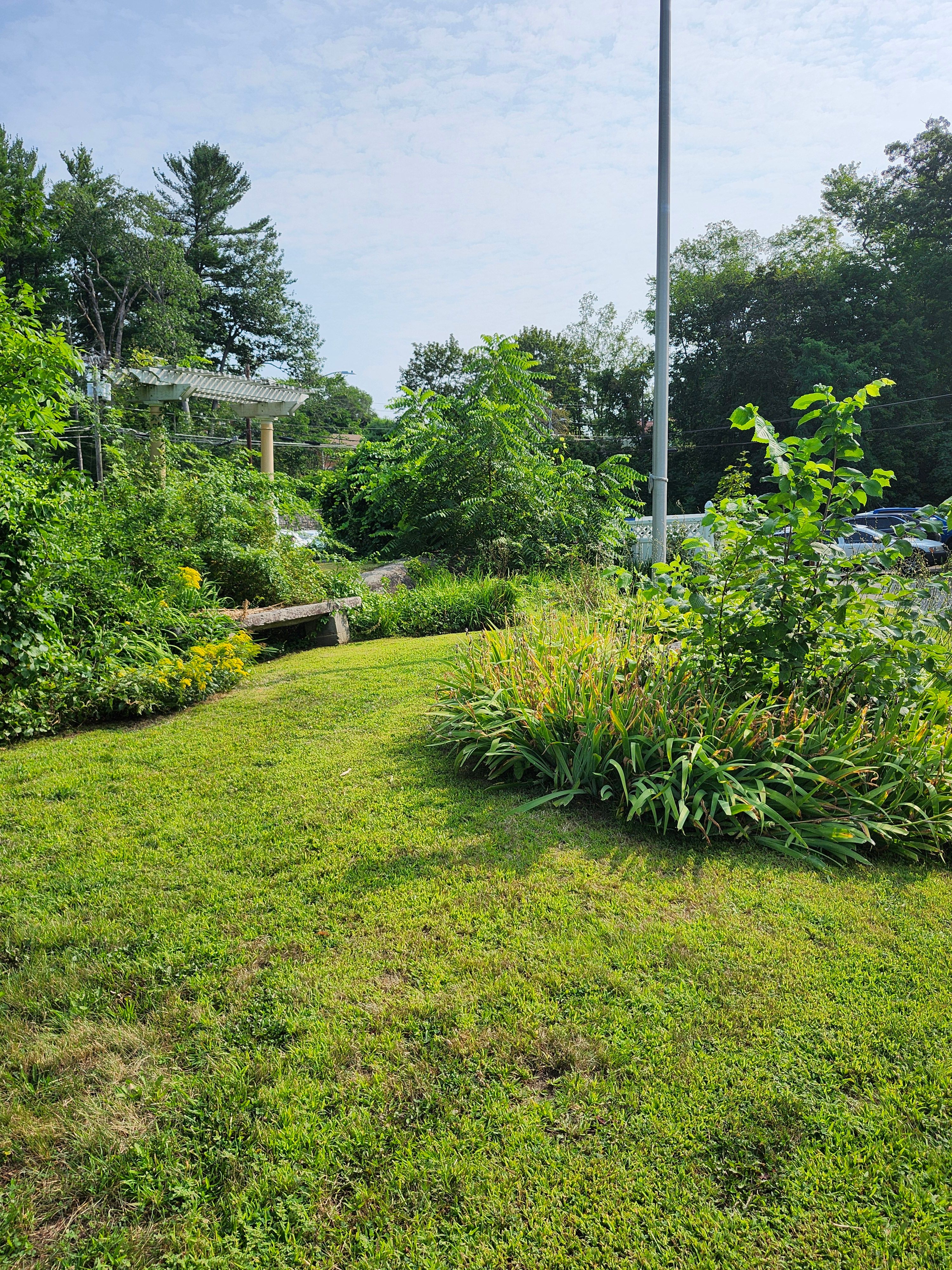 Hedge/Tree/Brush Cutting for Landscape Innovations LLC in Torrington, CT