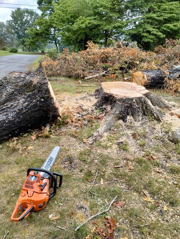  for Wade's Family Tree Service in Townsend, TN