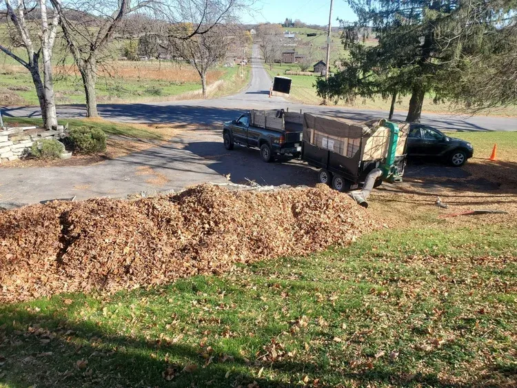 for Fancher's Lawns & Landscaping LLC in Schoharie County, NY
