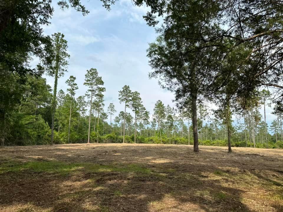 All Photos for White’s Land Maintenance in Milton,, FL