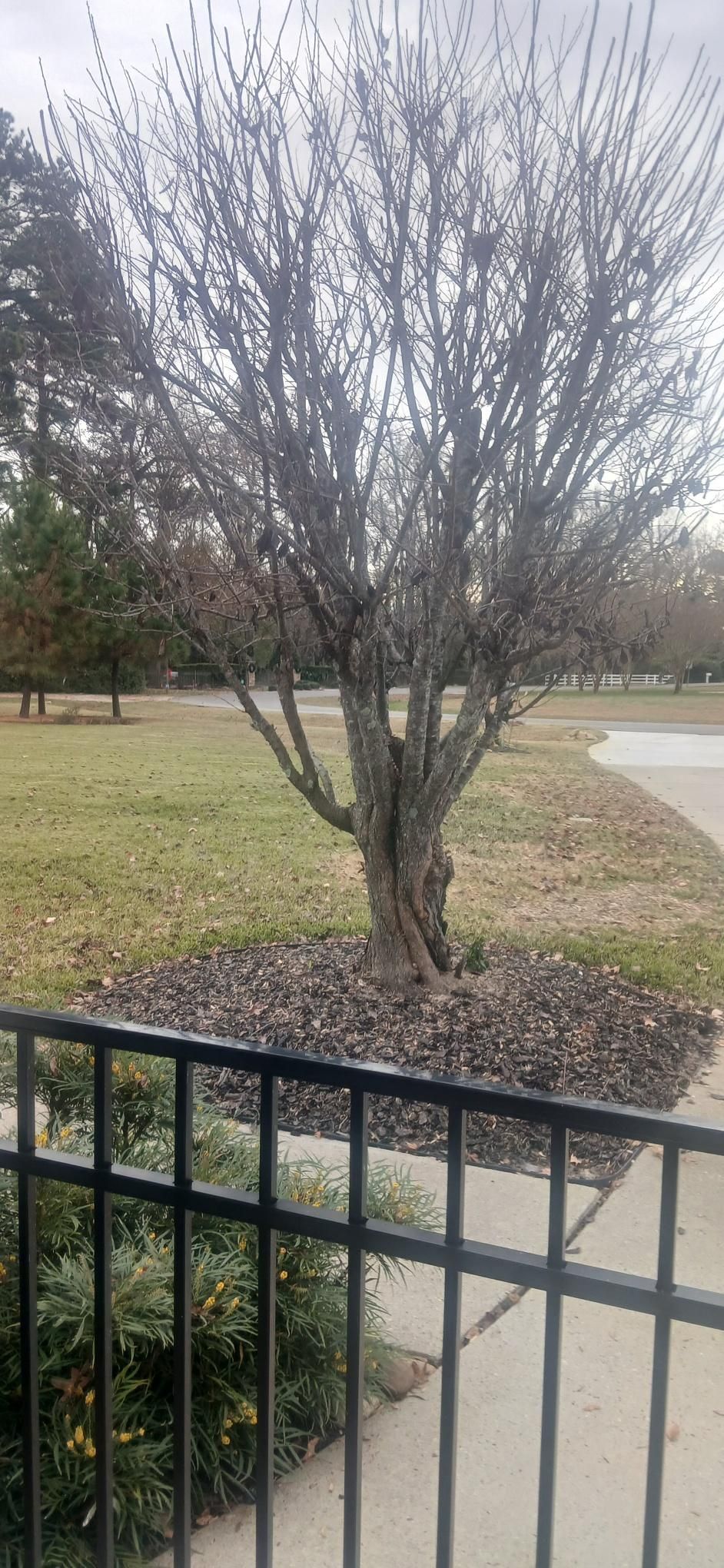 All Photos for Prime Time Pressure Washing & Roof Cleaning in Moyock, NC