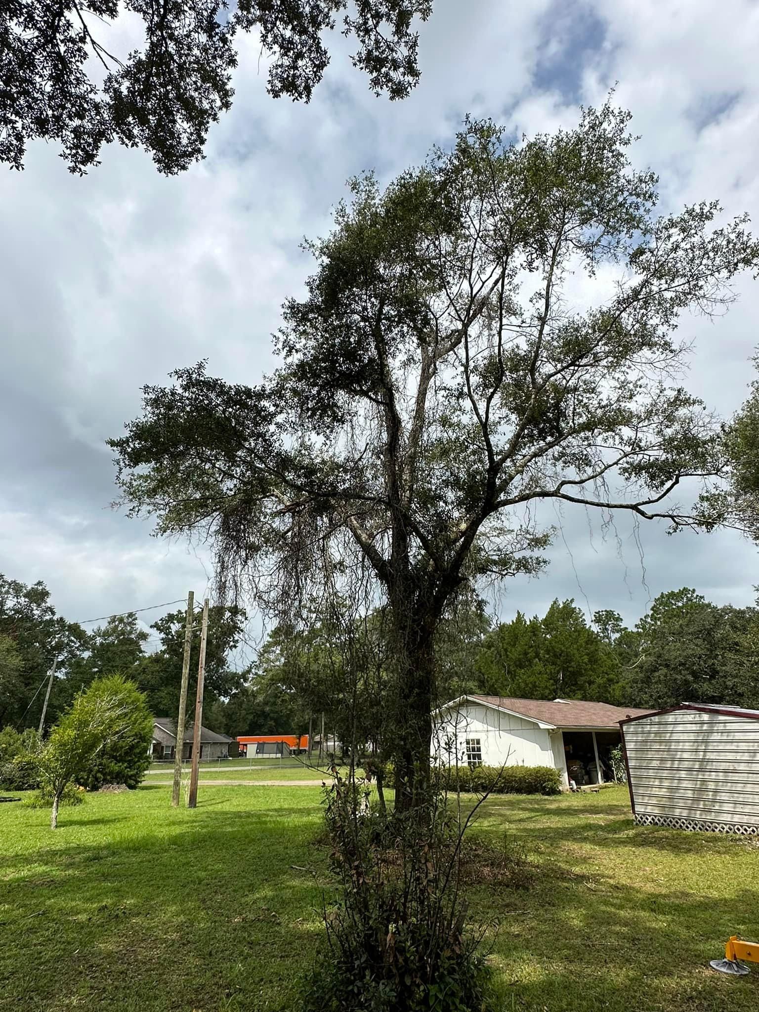  for White’s Land Maintenance in Milton,, FL