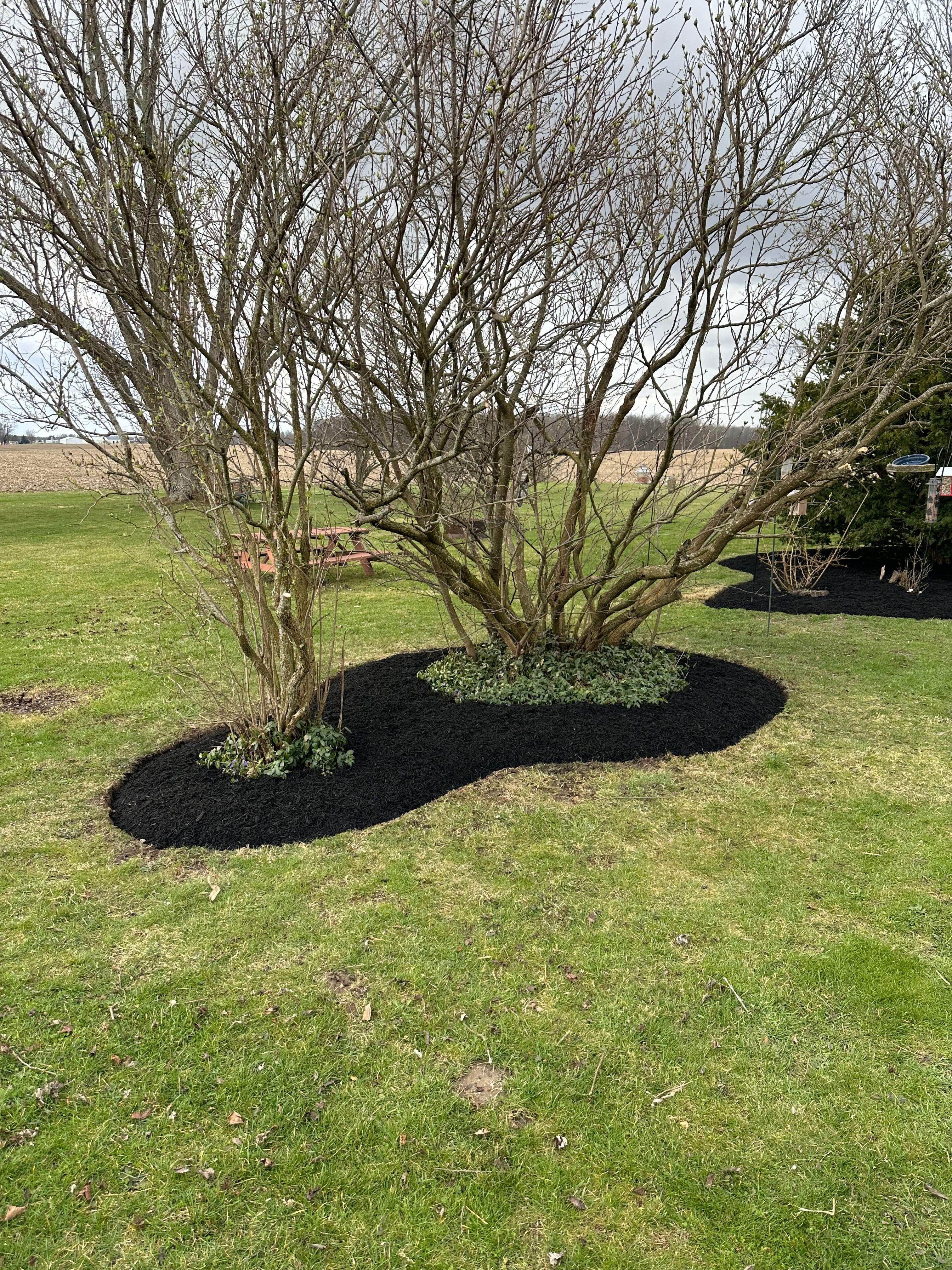  for OT Lawn and Landscaping LLC in Carey, OH