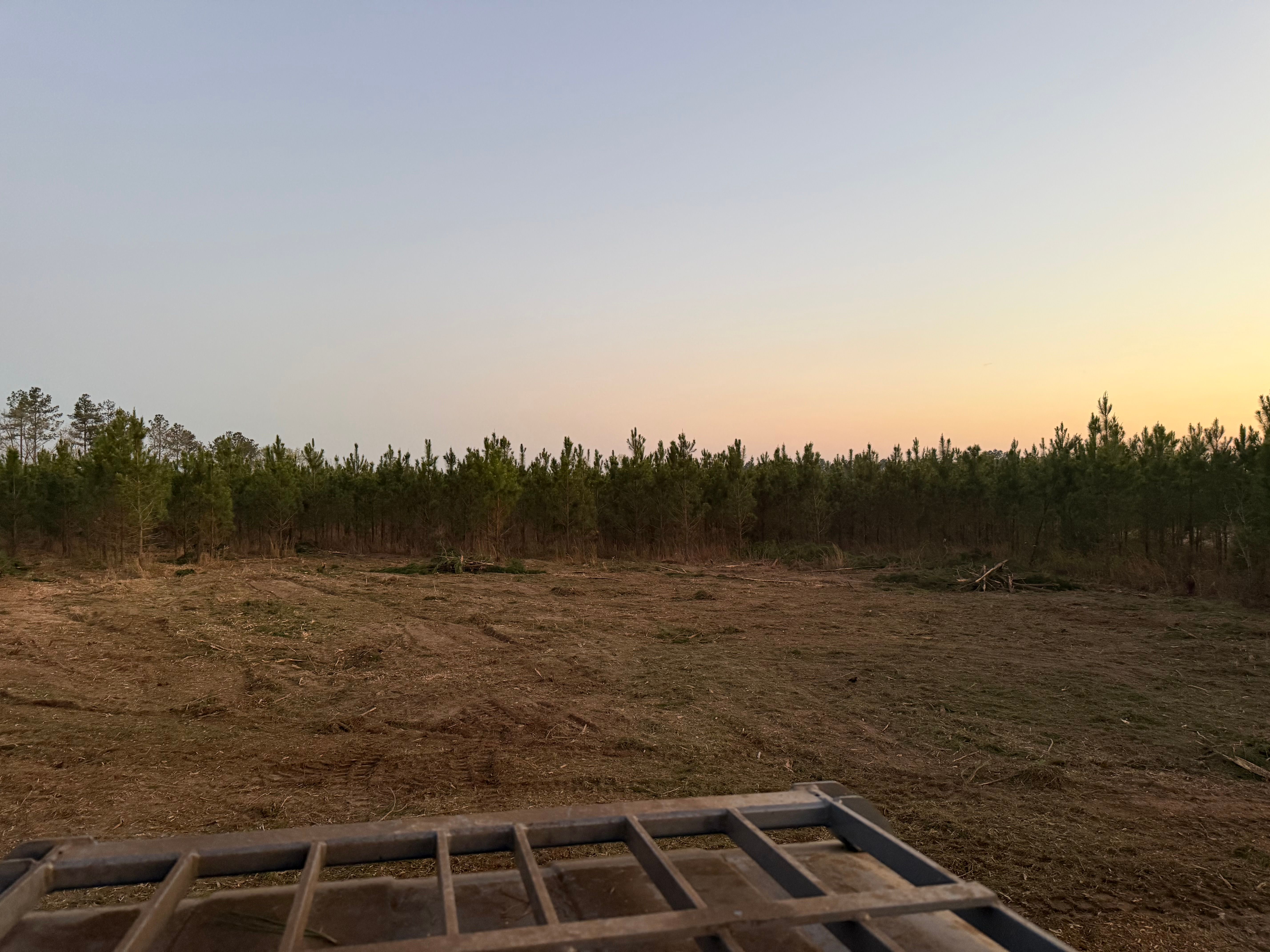  for T N L - Tree and Land Service in Reynolds, GA