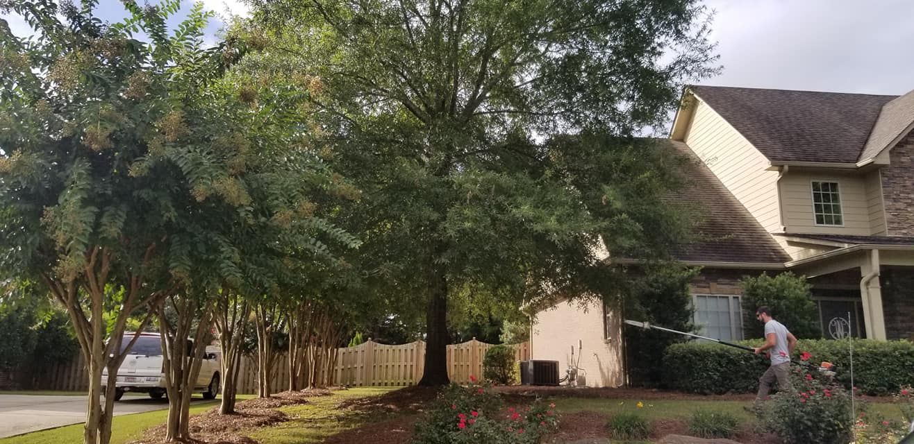  for DNA Tree Service in Birmingham, AL