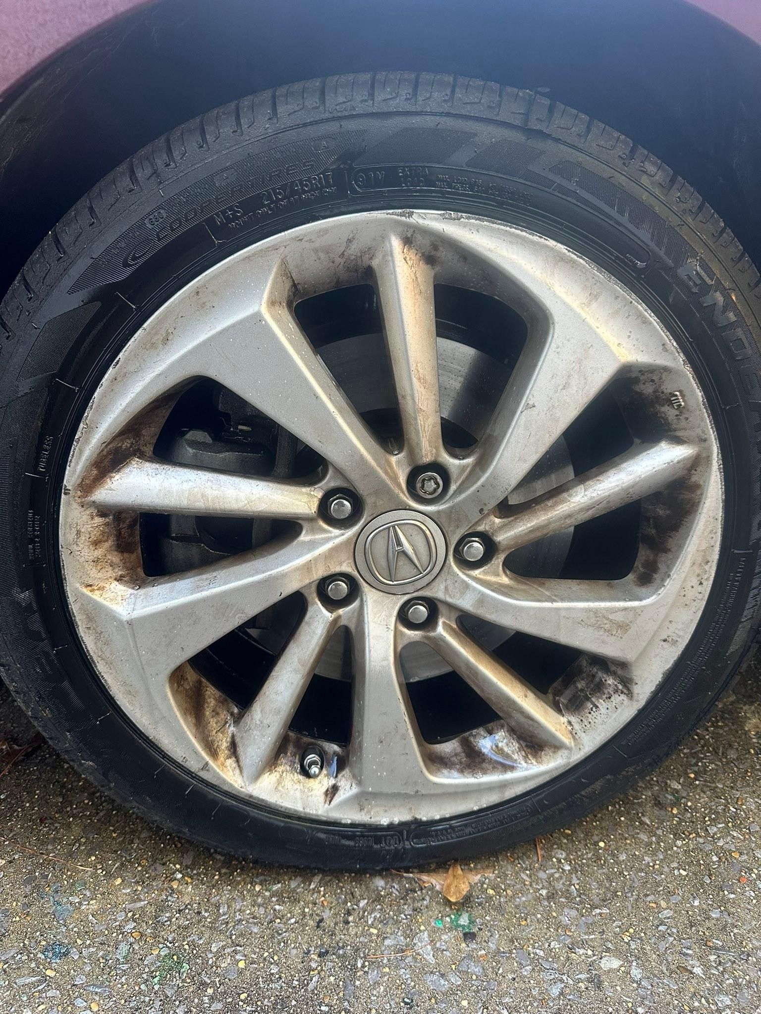  for Hollywood Detail in Northport , AL