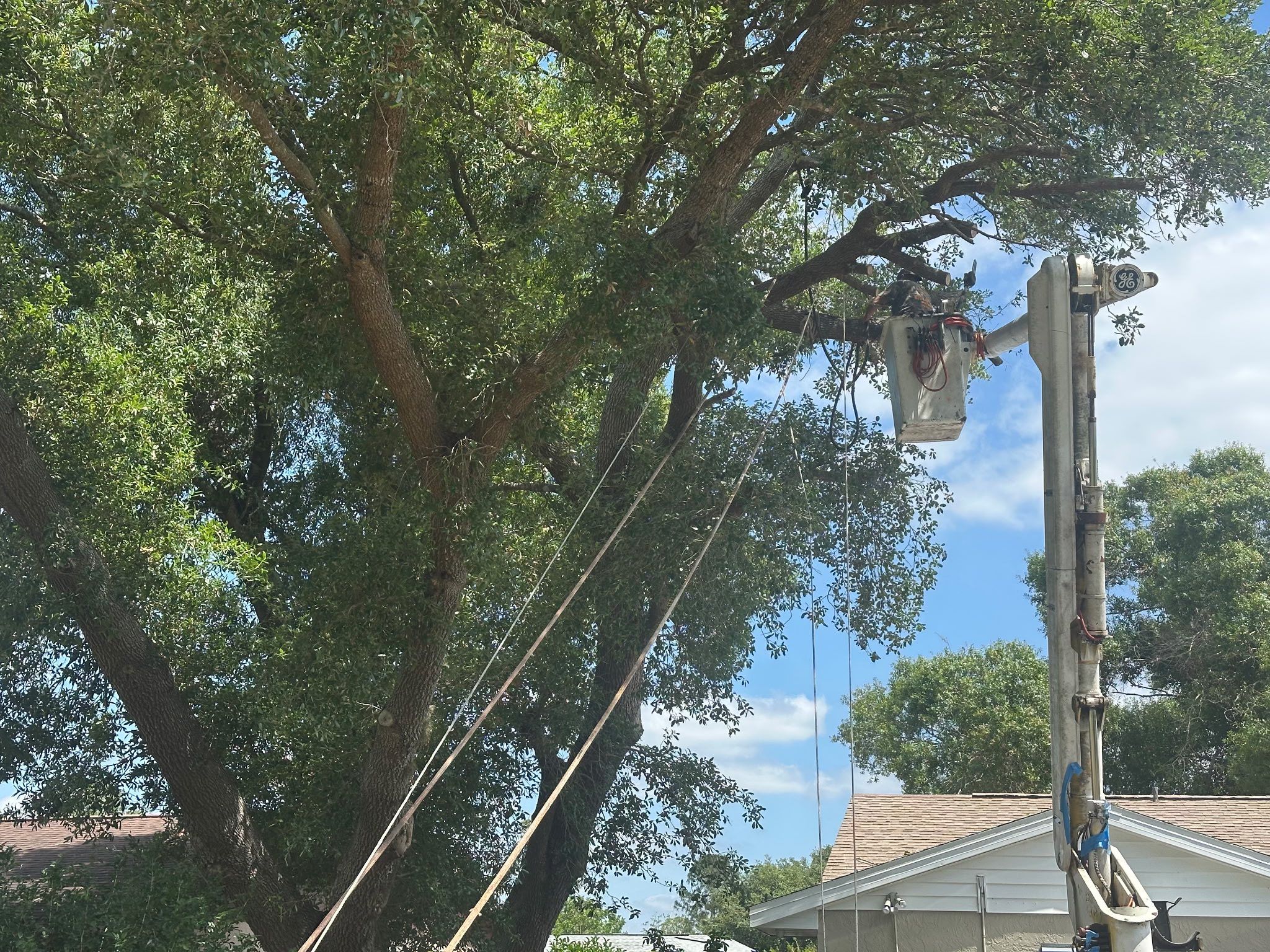  for Nick of Time Tree Service in North Port, FL