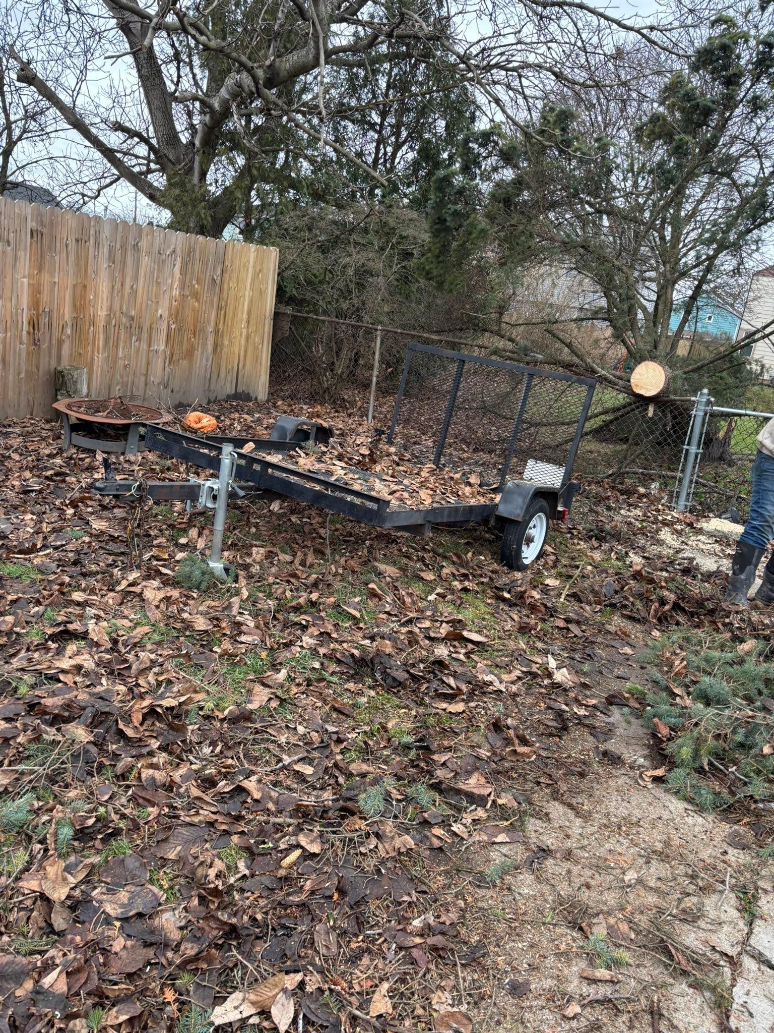  for Hauser's Complete Care INC in Lancaster, NY