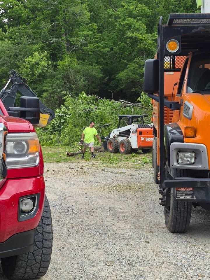  for Carpenter's Tree Service in Aurora, IN