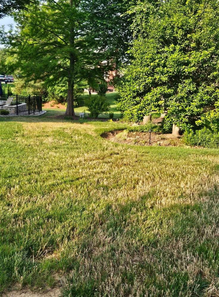  for All Seasons Property Maintenance in Louisville, KY