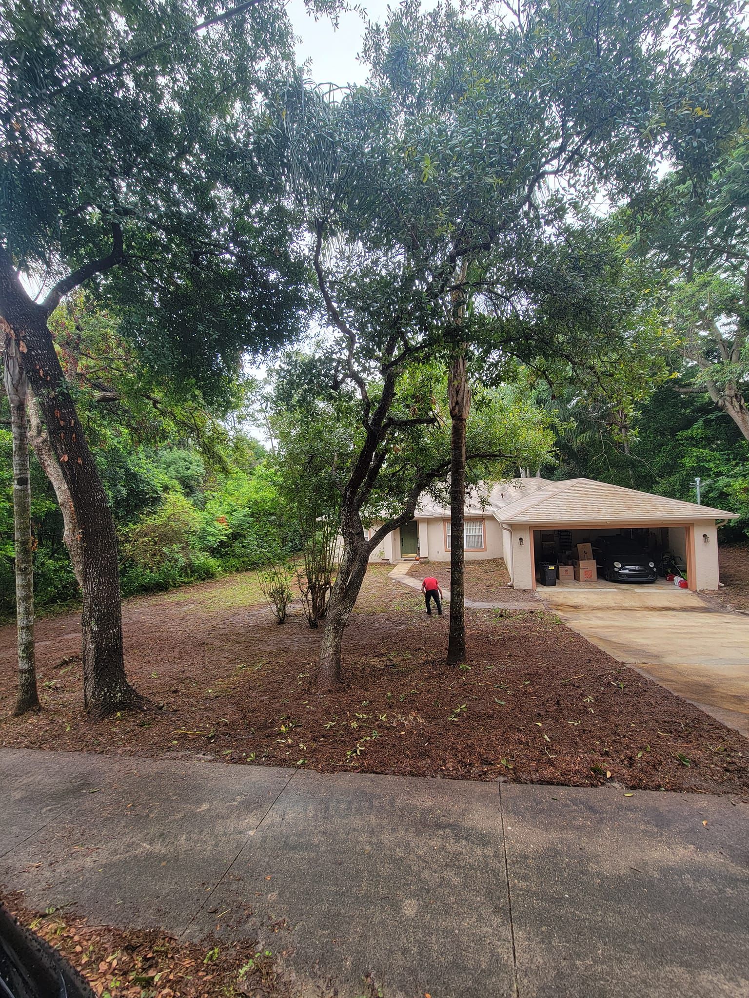  for Vanic's Landscaping in Port Orange, FL