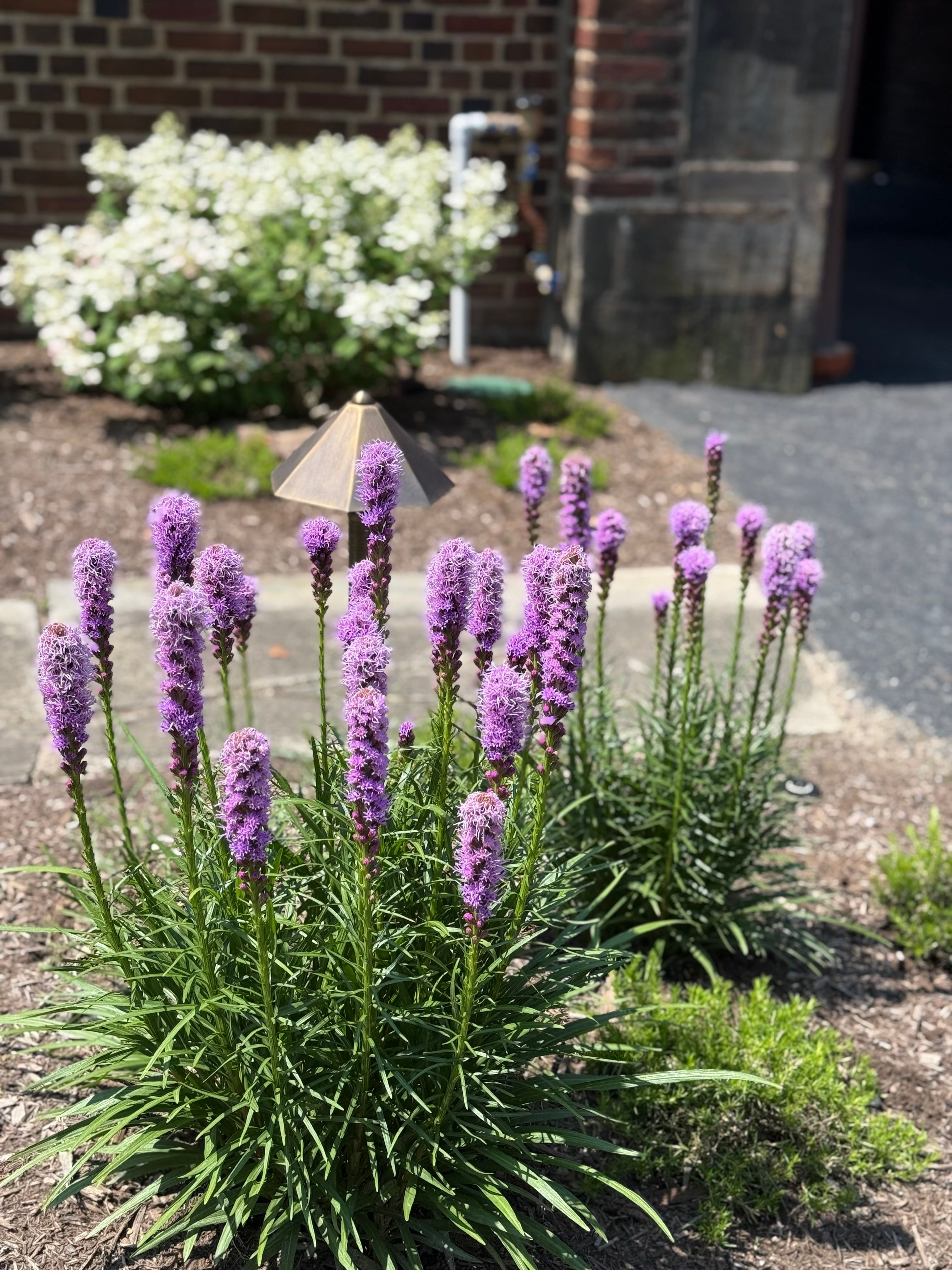 Softscaping for Hillside Landscape & Design in Chesterland, OH