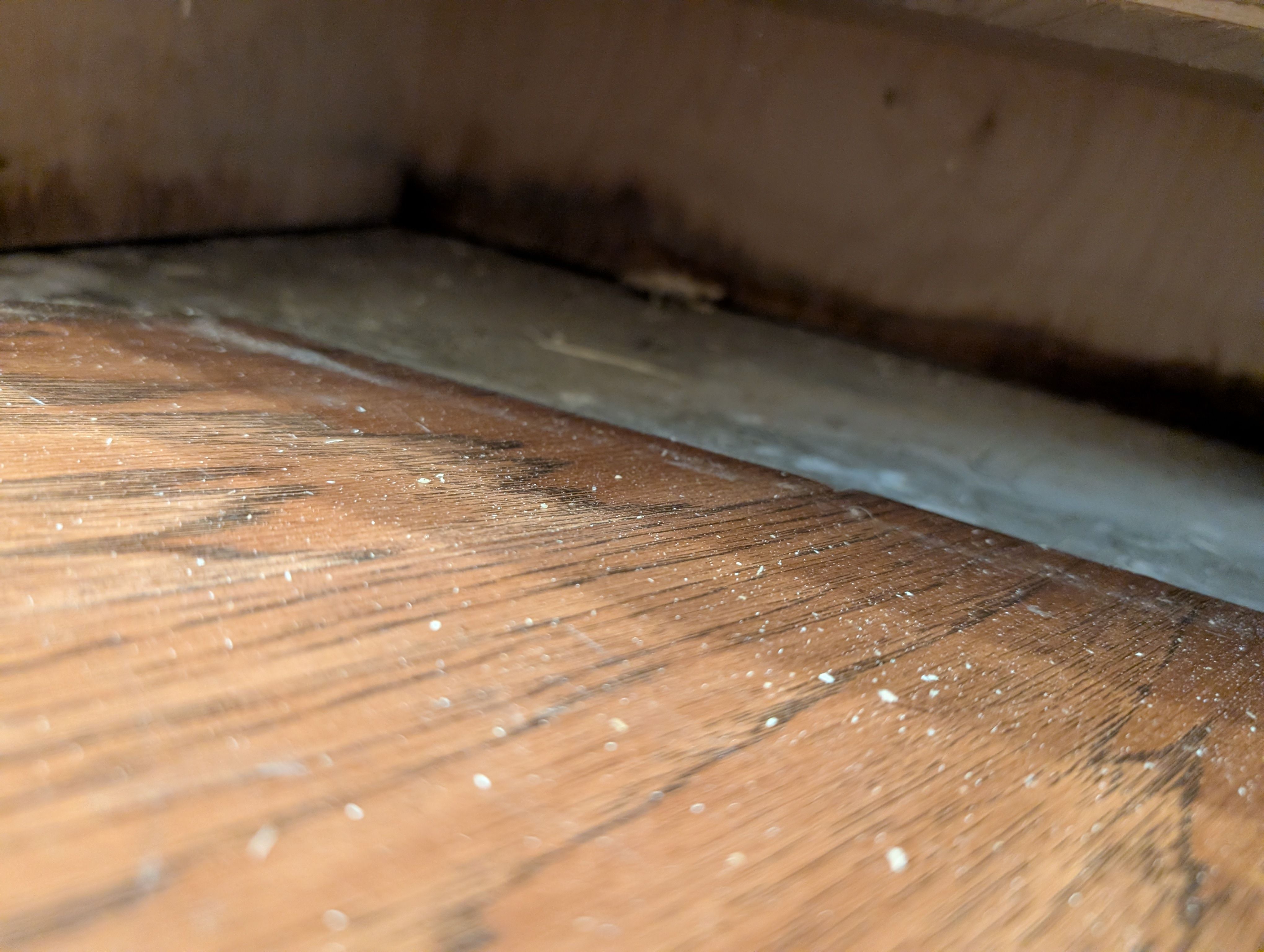 All Photos for Best Option Restoration of Denton in Denton, TX