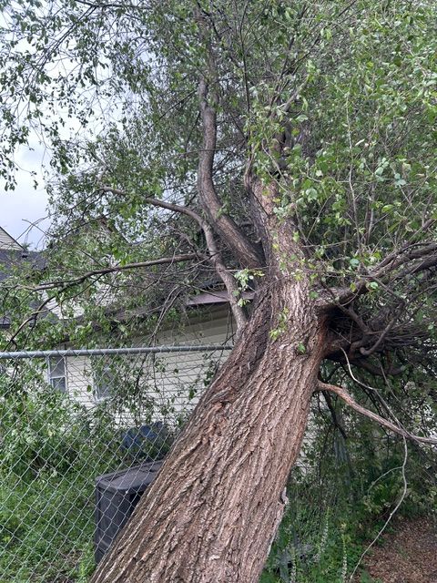 All Photos for Allstate Tree Service and Crane in Spring Lake Park, MN