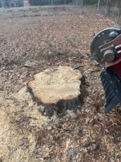  for Otis Lee Stump Grinding LLC in Elgin, SC