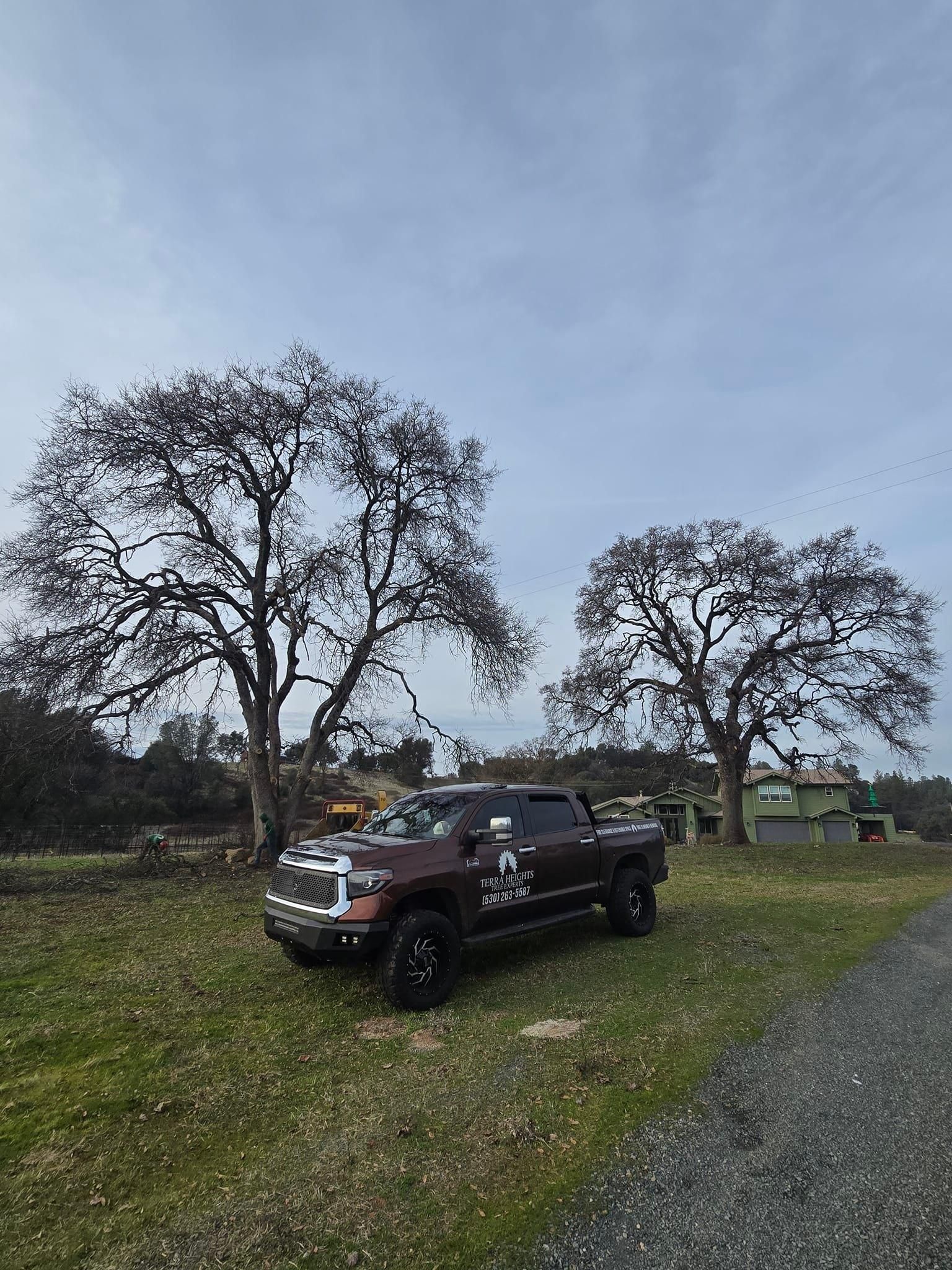  for Terra Heights Tree Experts & Landscaping  in Grass Valley,  CA