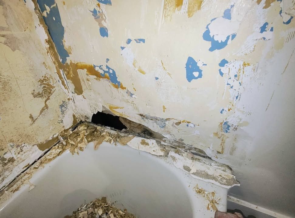  for Do Better Home Renovations LLC in Macon, GA