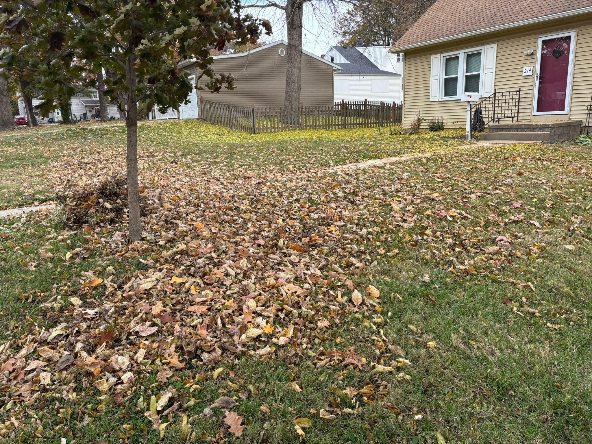  for Andrew's Lawn Service LLC in Lebanon, IL