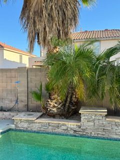  for Patriot Tree Service in Mesa, AZ