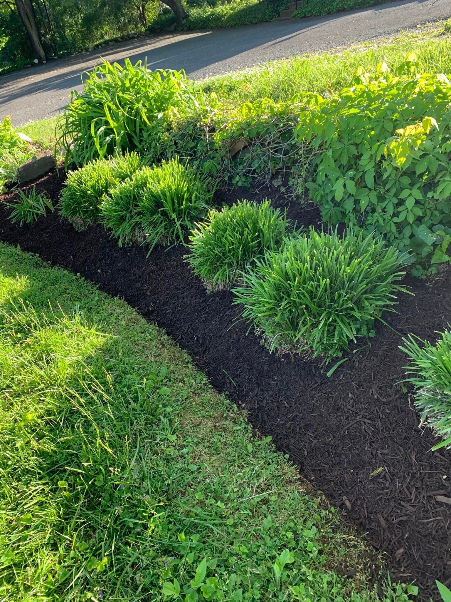  for Valencia’s Lawncare in Charlottesville, VA