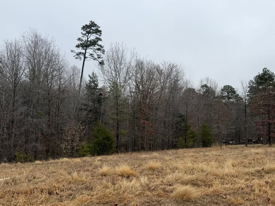 All Photos for Hunt’s Hauling & Landworks LLC in Danville, VA