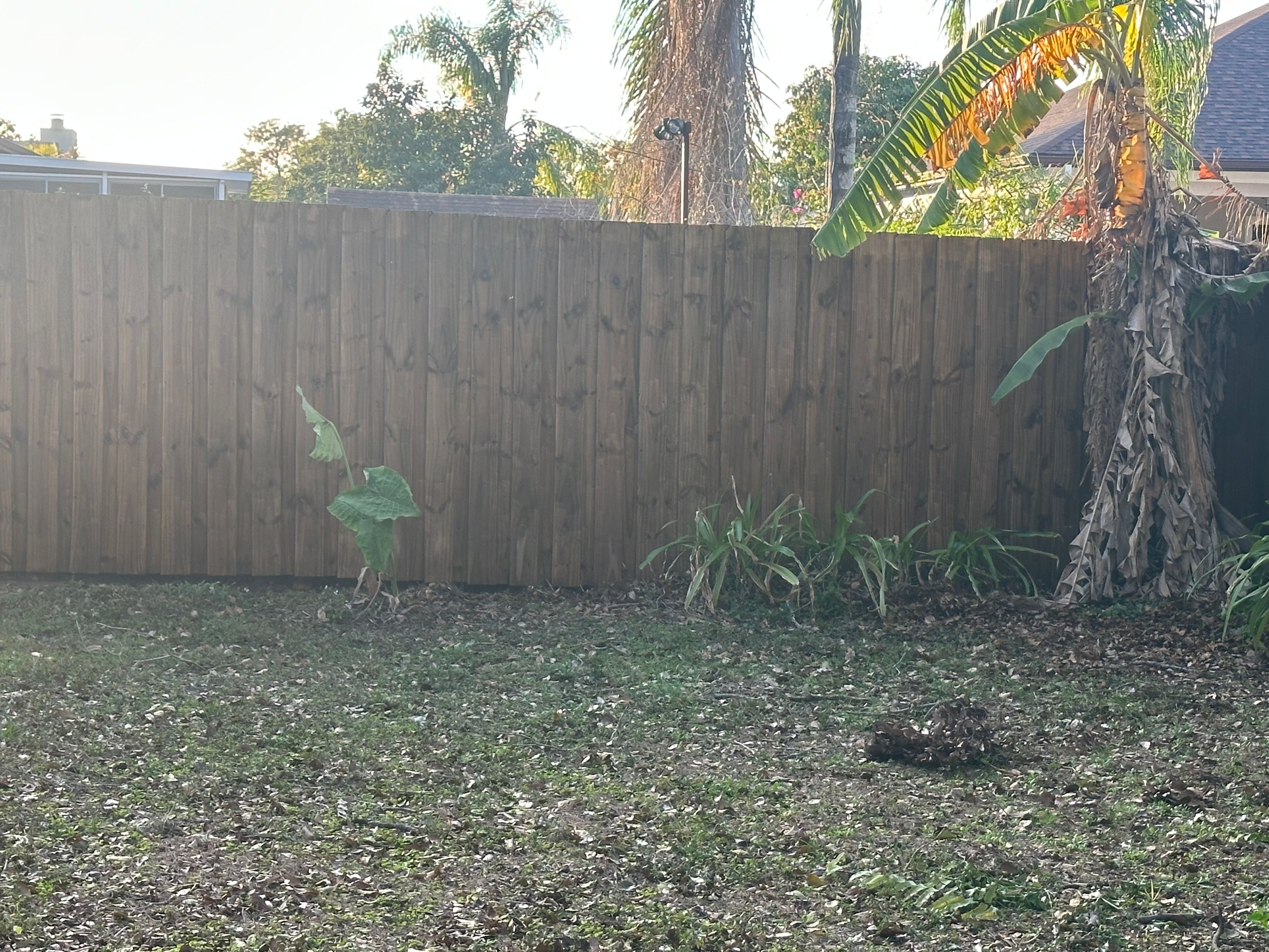  for The Yardman in Tampa, FL