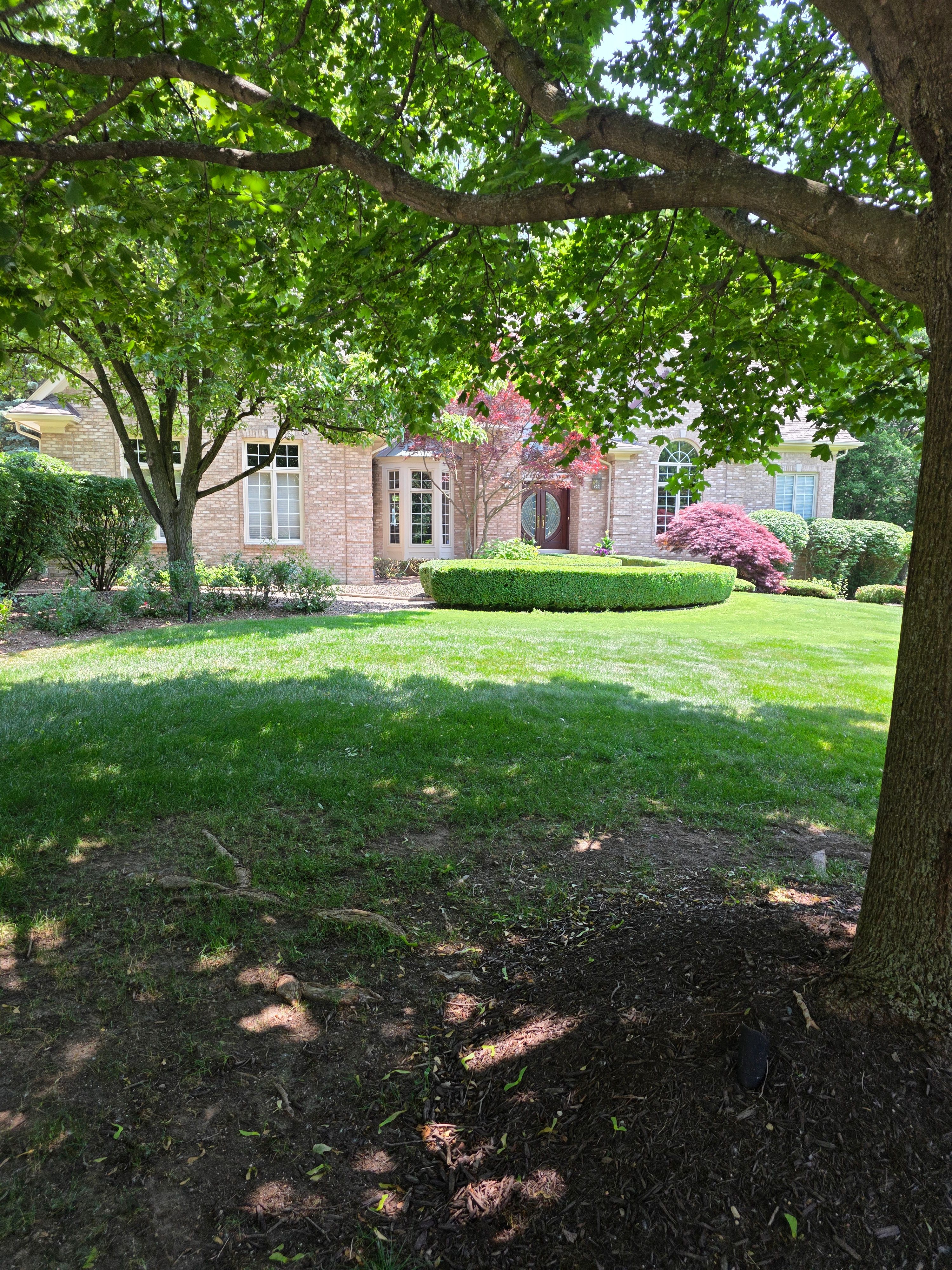  for Ivy Lawn and Landscaping in Oxford, MI