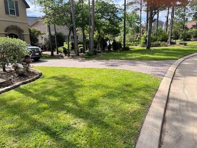 All Photos for Out Back Pool and Spa Creations in The Woodlands, TX