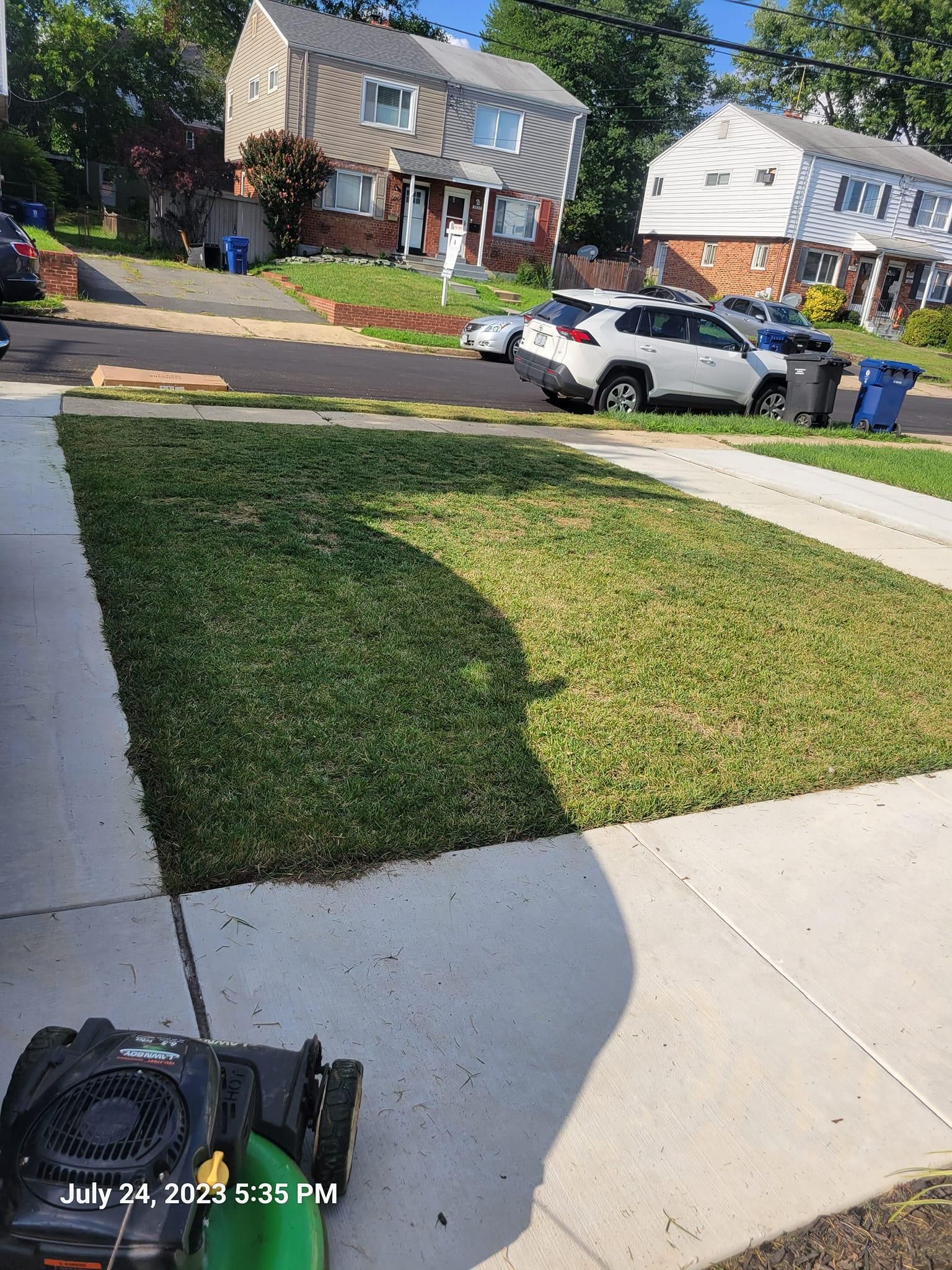 Fall and Spring Clean Up for Papayards in Arlington, VA