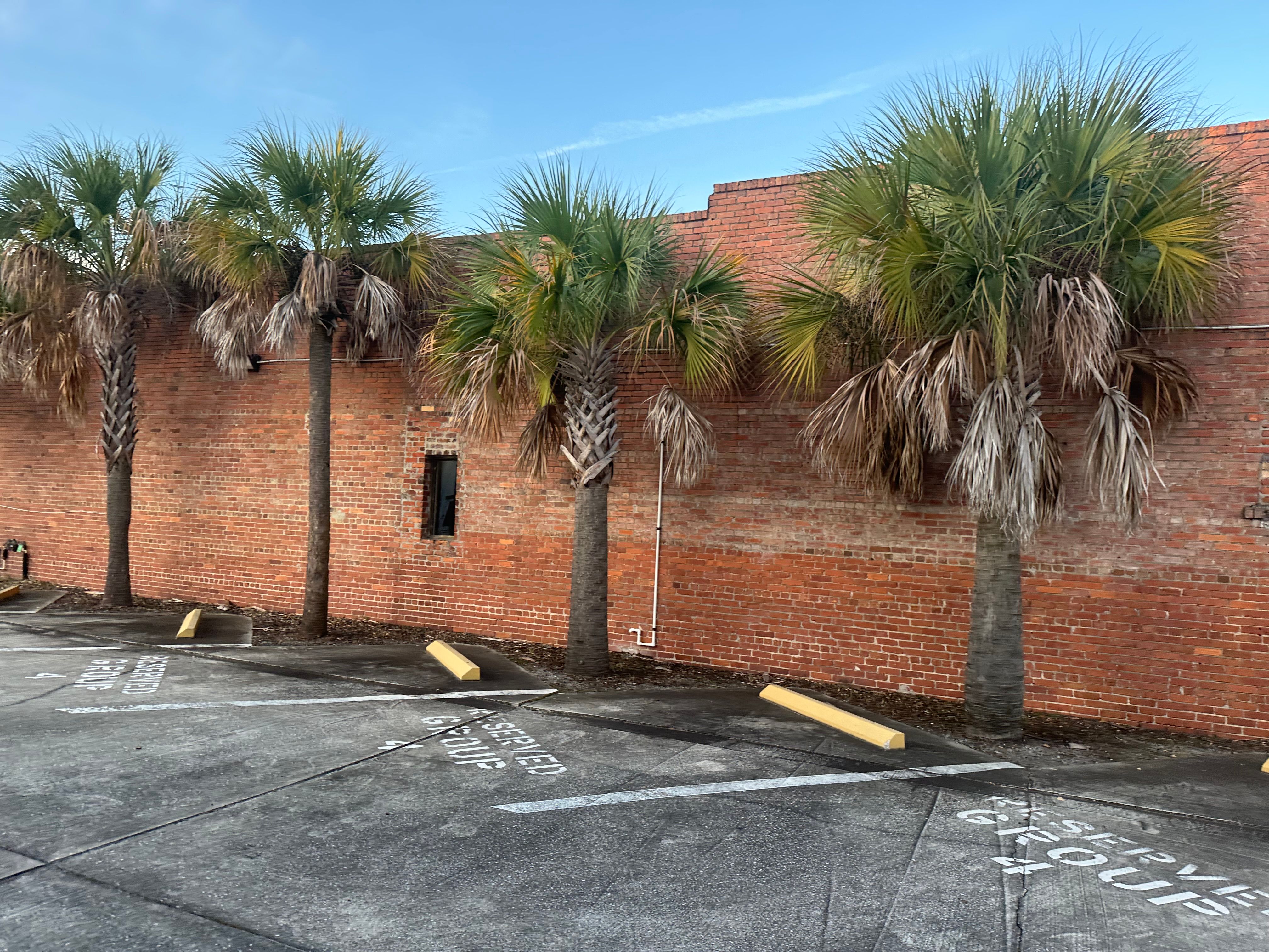 All Photos for All of the Above Landscaping in Orange Park, FL